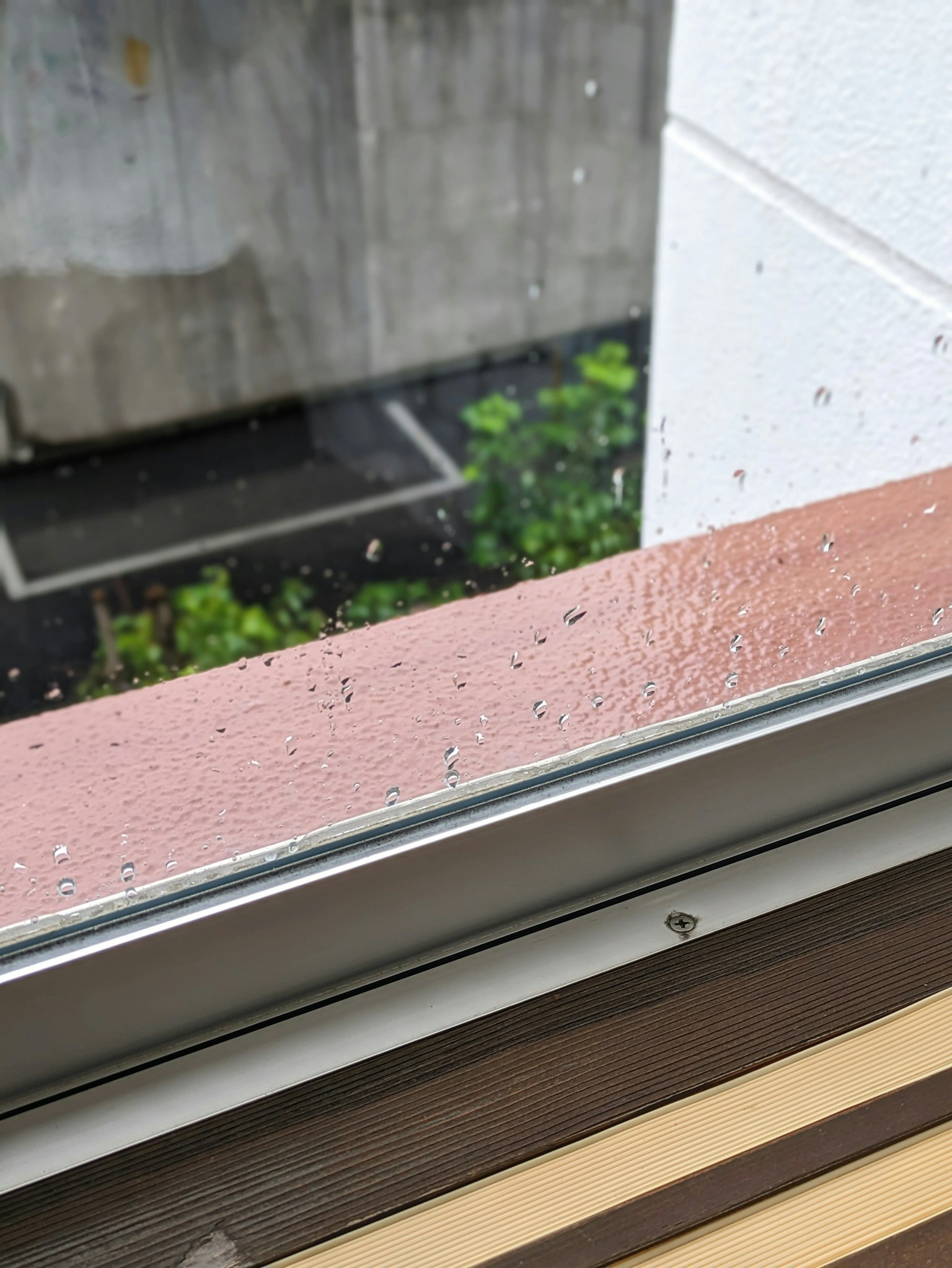 窗外景色顯示窗台上的雨滴和外面的綠色植物