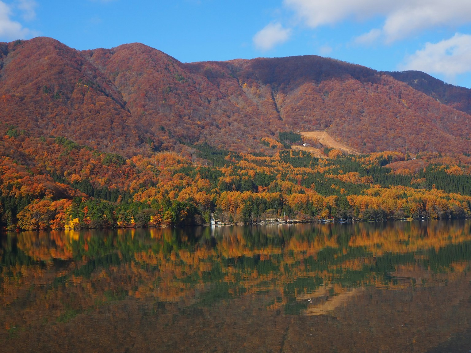 Scenic view of autumn foliage reflecting in a calm lake