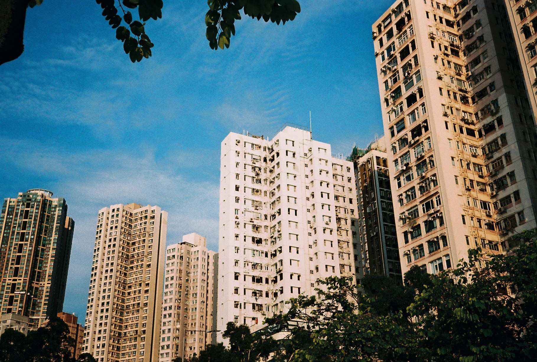 蓝天映衬下的高层住宅楼