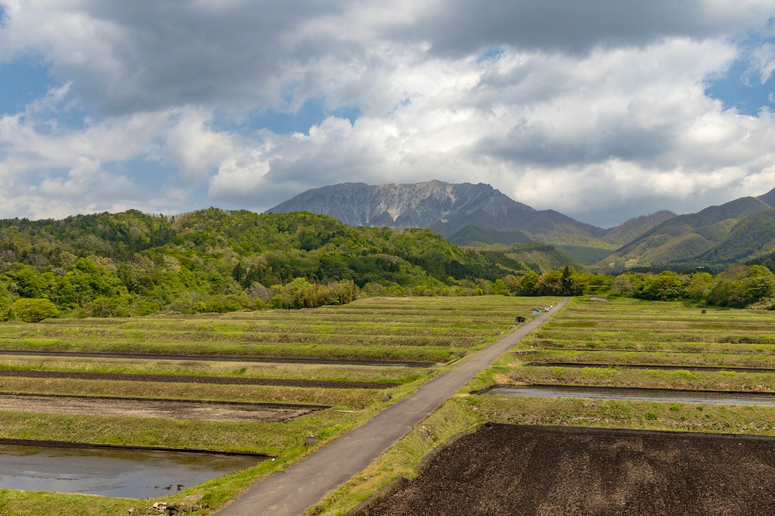 Lush agricultural landscape with terraced rice fields and mountains in the background