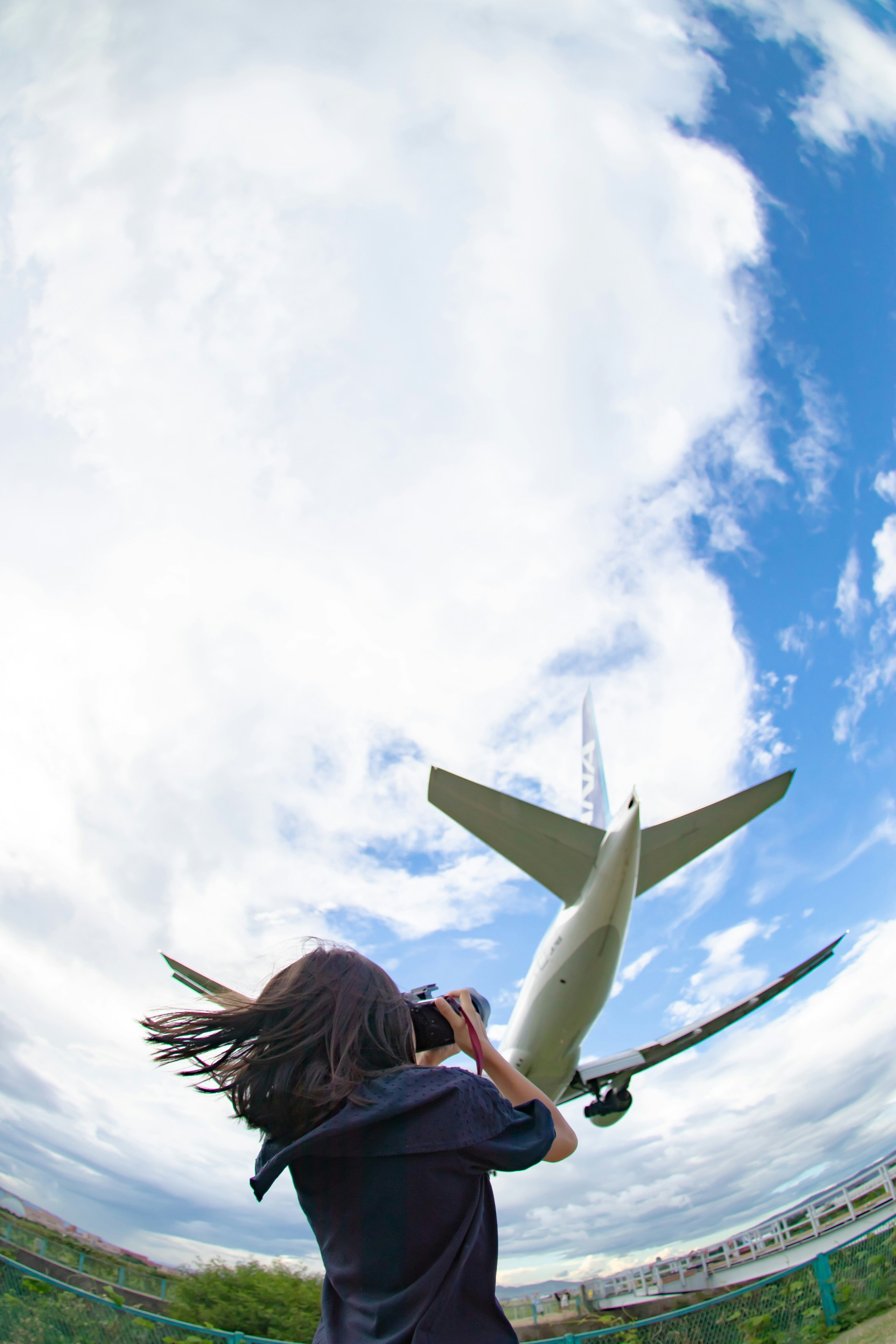 飛行機の離陸を見上げる空と風景の余白