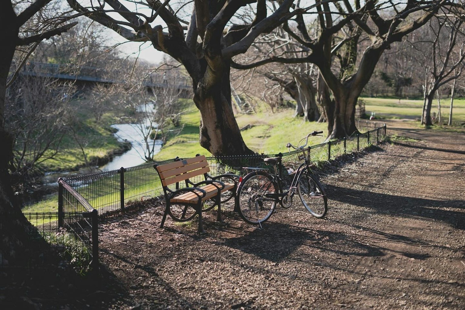 Pemandangan taman dengan bangku dan sepeda di dekat sungai