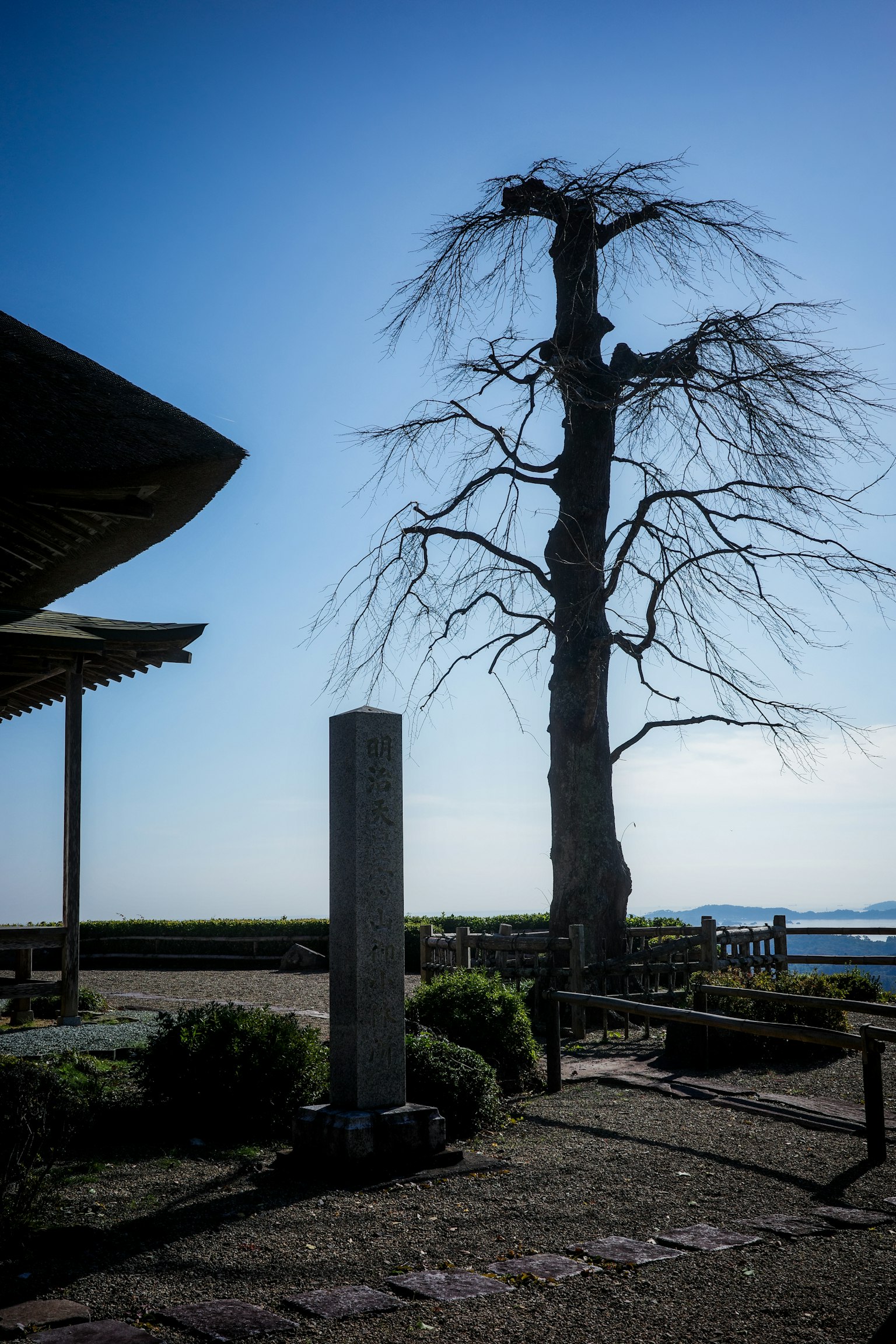 Un albero secco e un pilastro di pietra contro un cielo blu chiaro