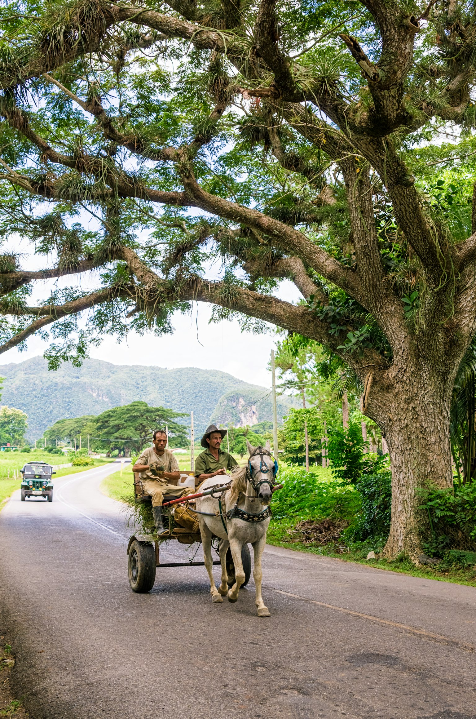 Dos hombres montando en una carreta tirada por un caballo a lo largo de un camino verde