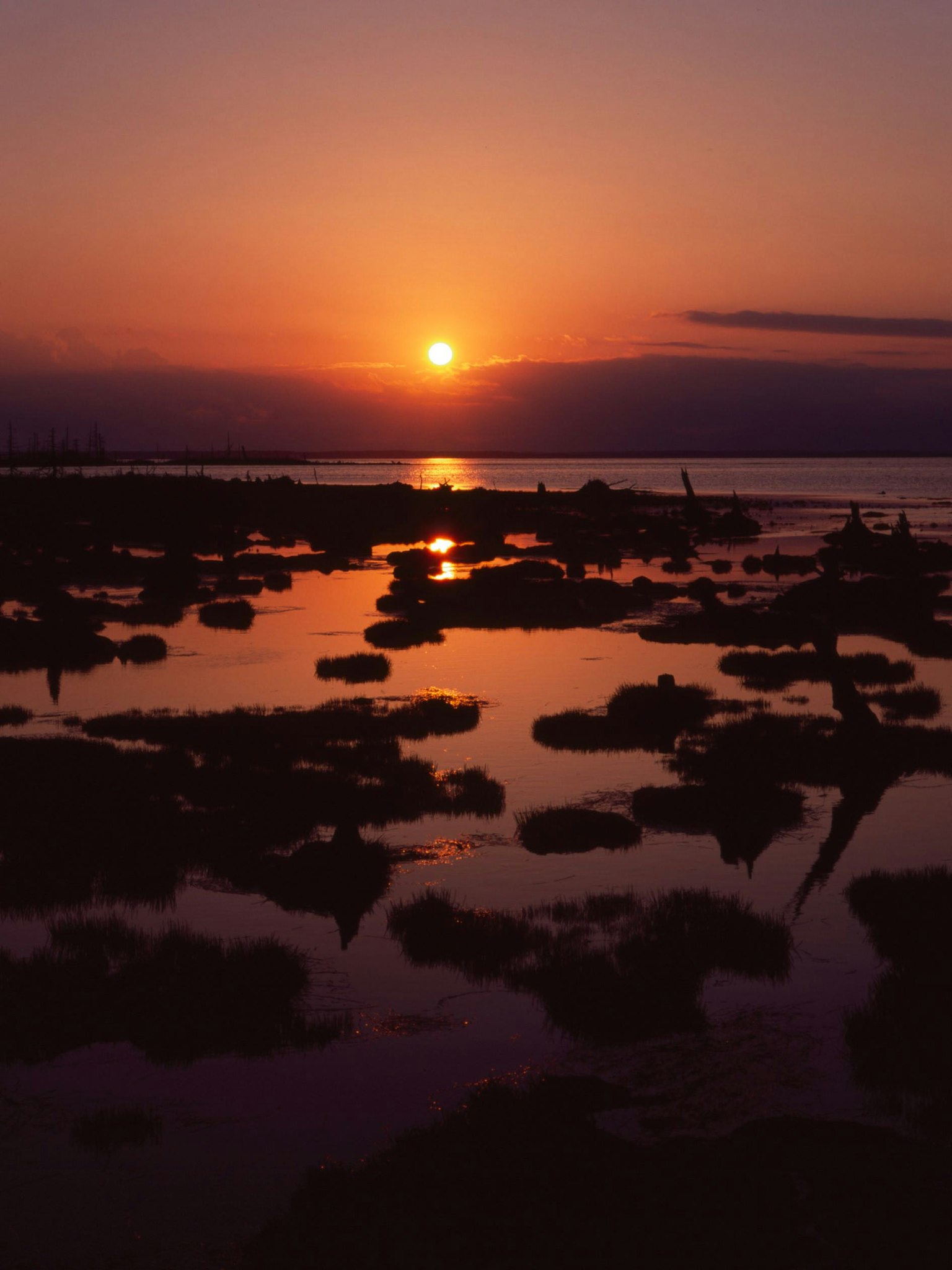 Coastal rock formations at sunset with reflections on the water