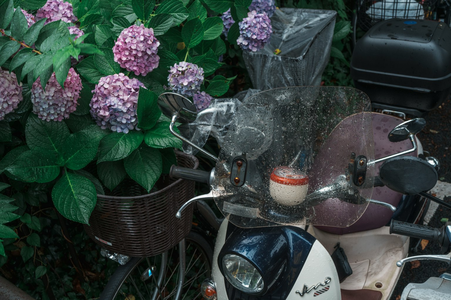 photo-6M8drVucg00gvTHSe1Is-image