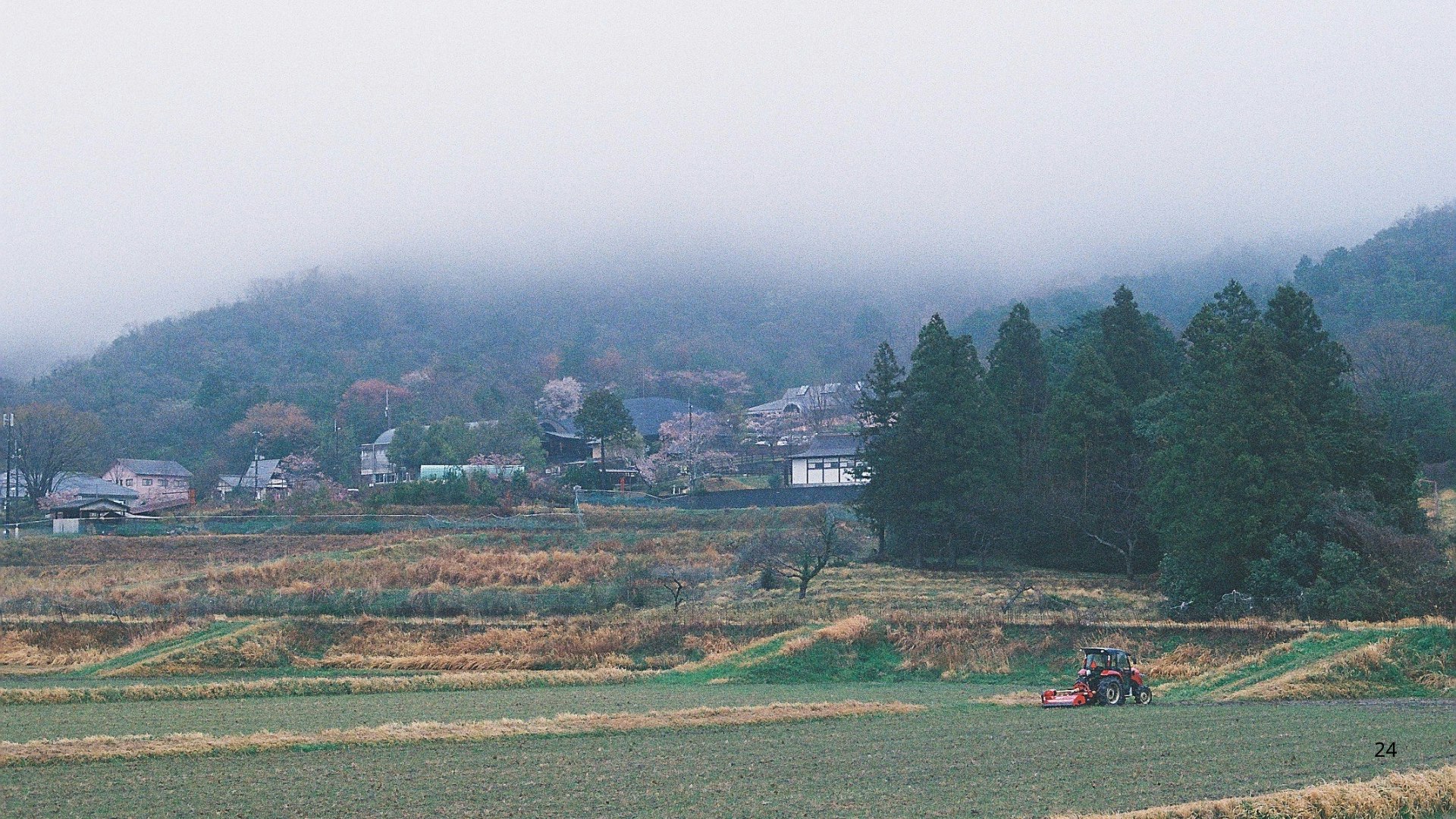 霧のかかった山あいの田園風景と畑の作業風景