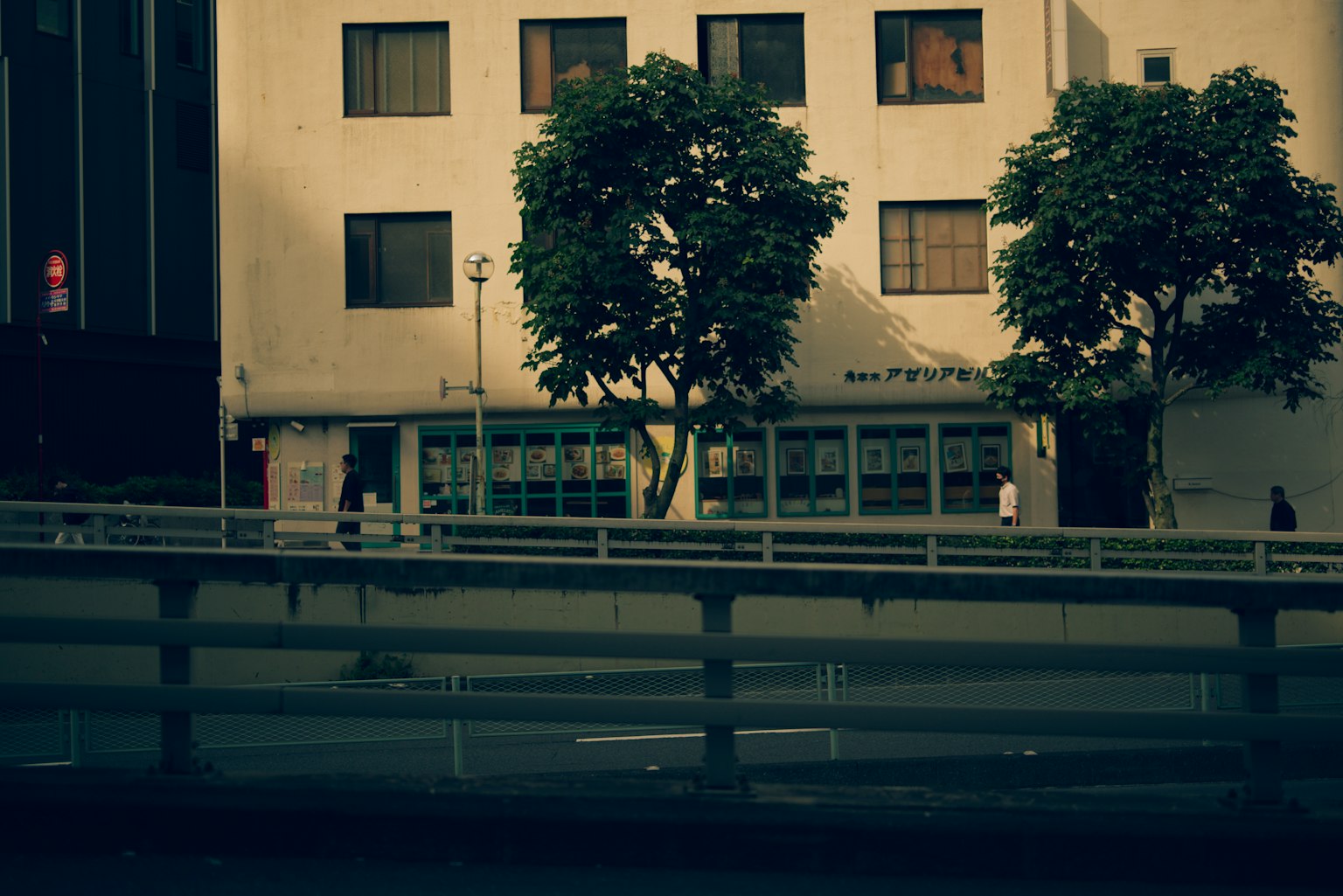 Street view featuring two trees and a white building with windows