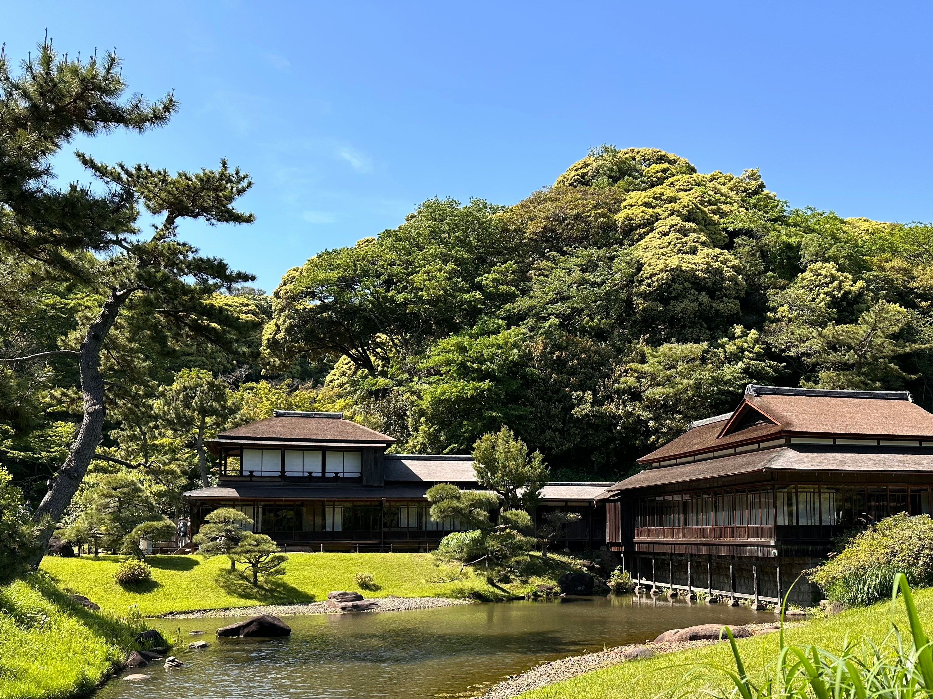 三溪園の日本庭園にある池と茶屋風の建物群の景観