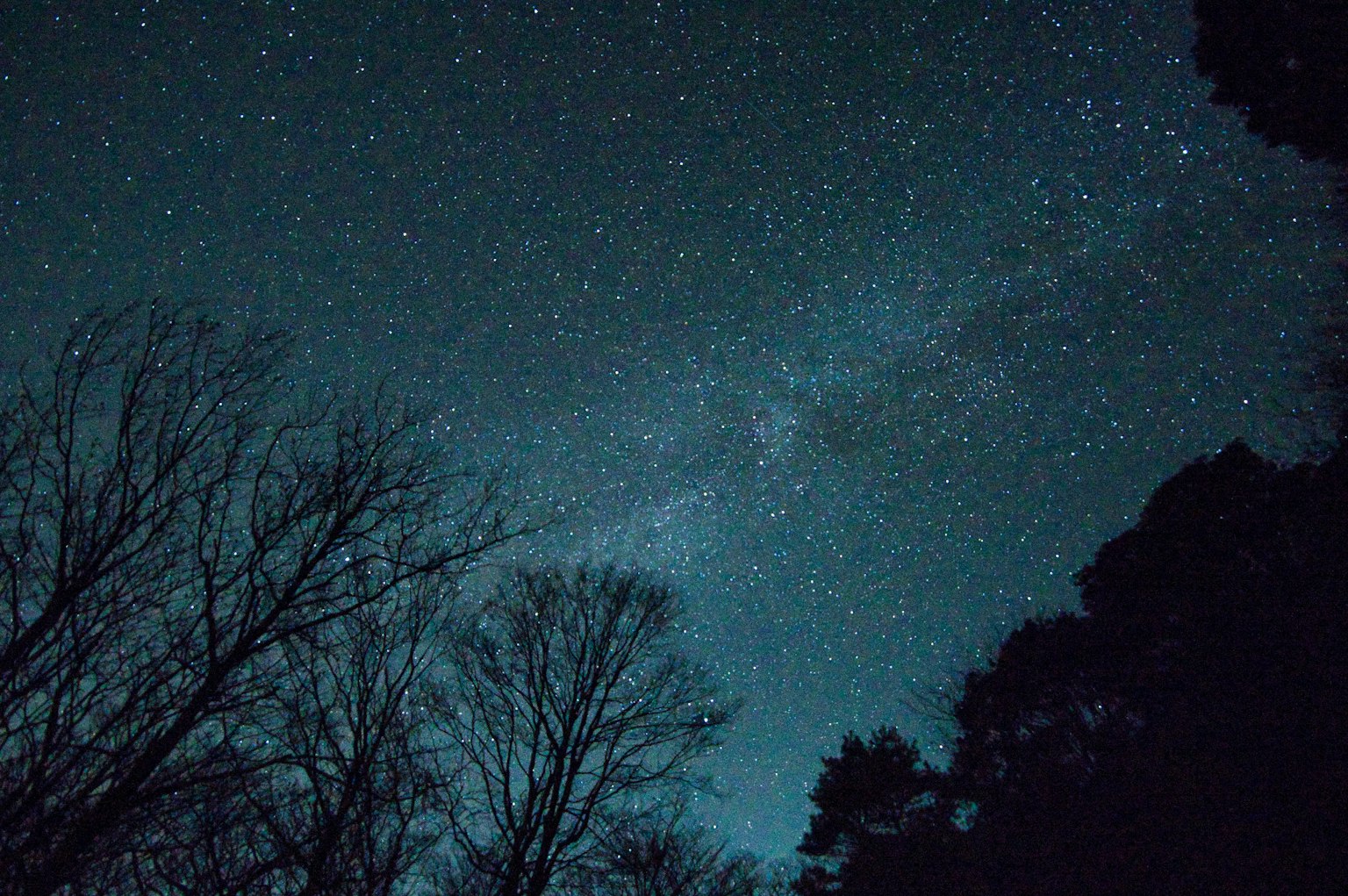 星空與樹木的剪影