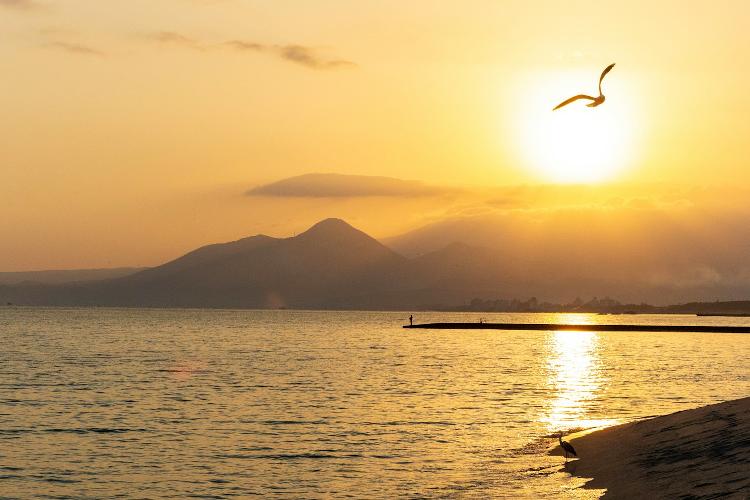 夕日が海に沈む美しい風景 鳥が空を飛ぶ 霧がかかった山々