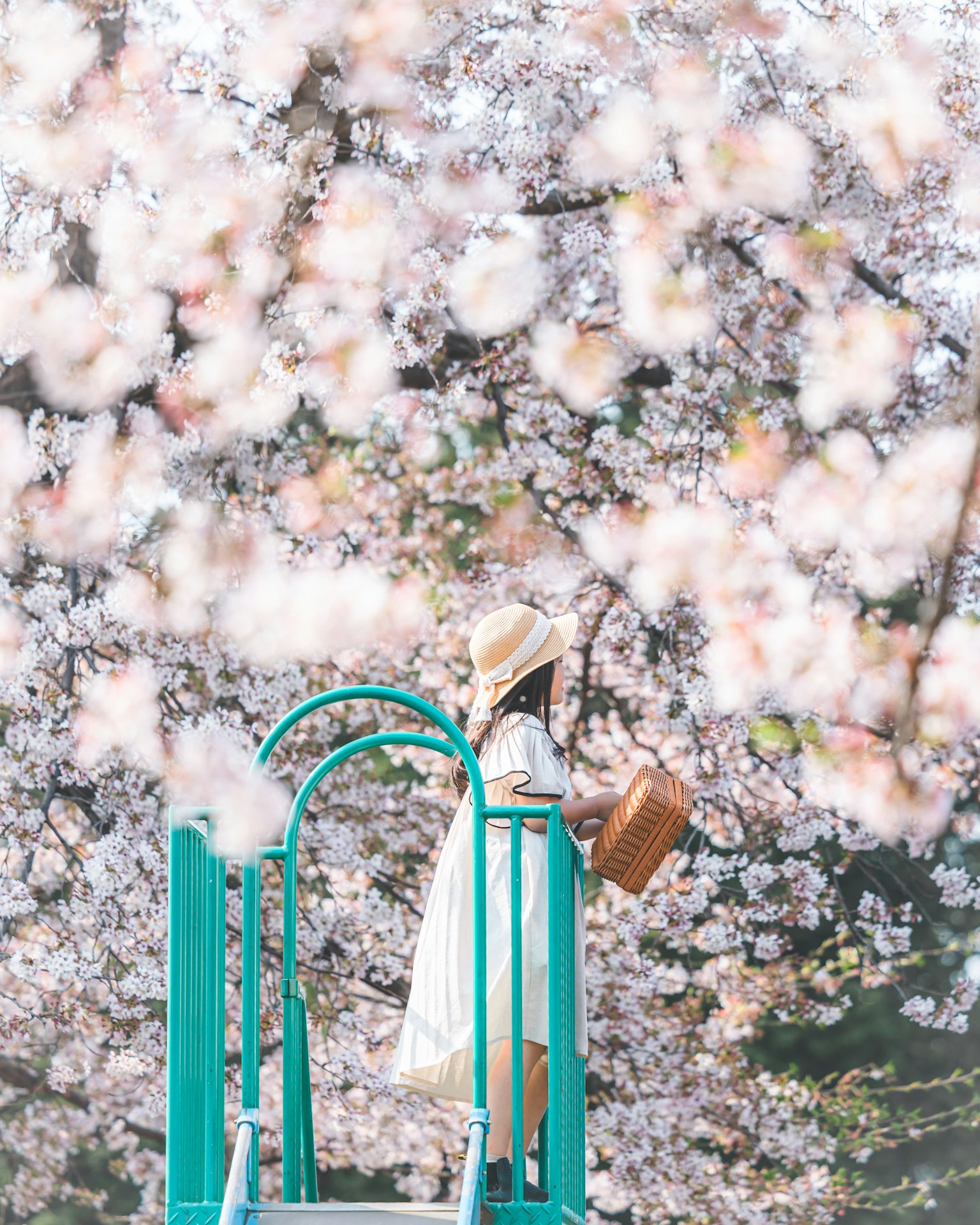 A woman standing on a blue slide surrounded by cherry blossoms