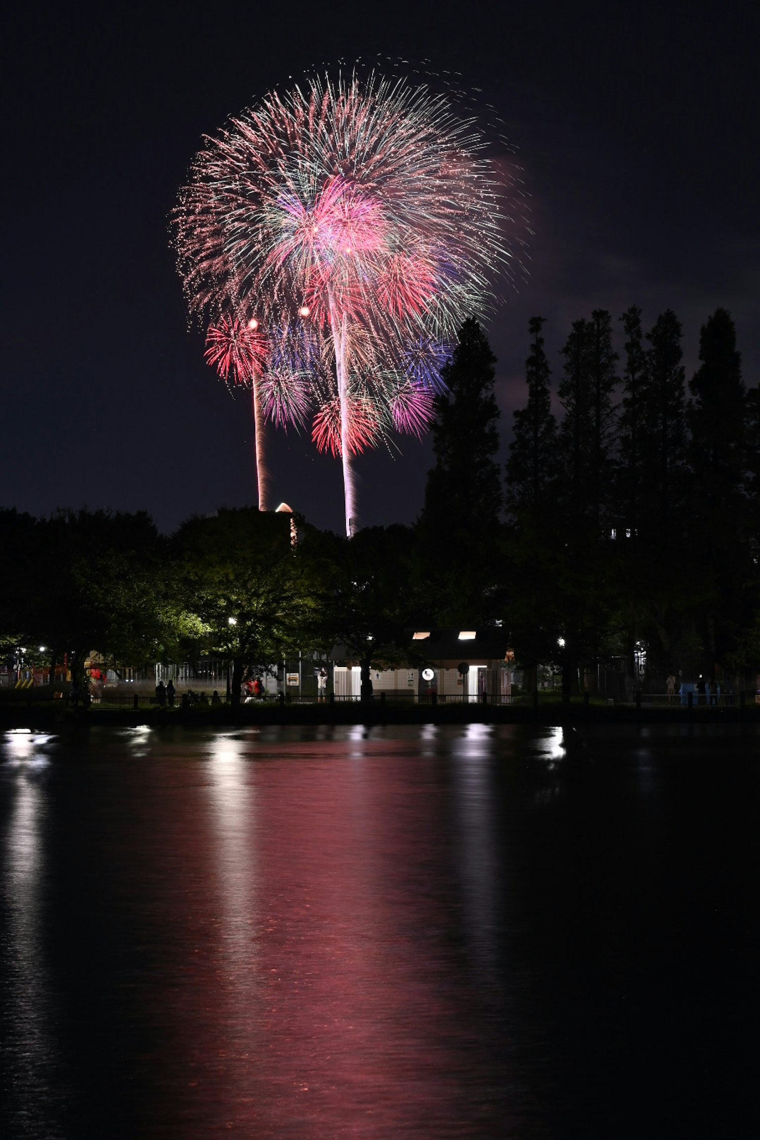 夜空中美丽的烟花展示水面上的五彩反射