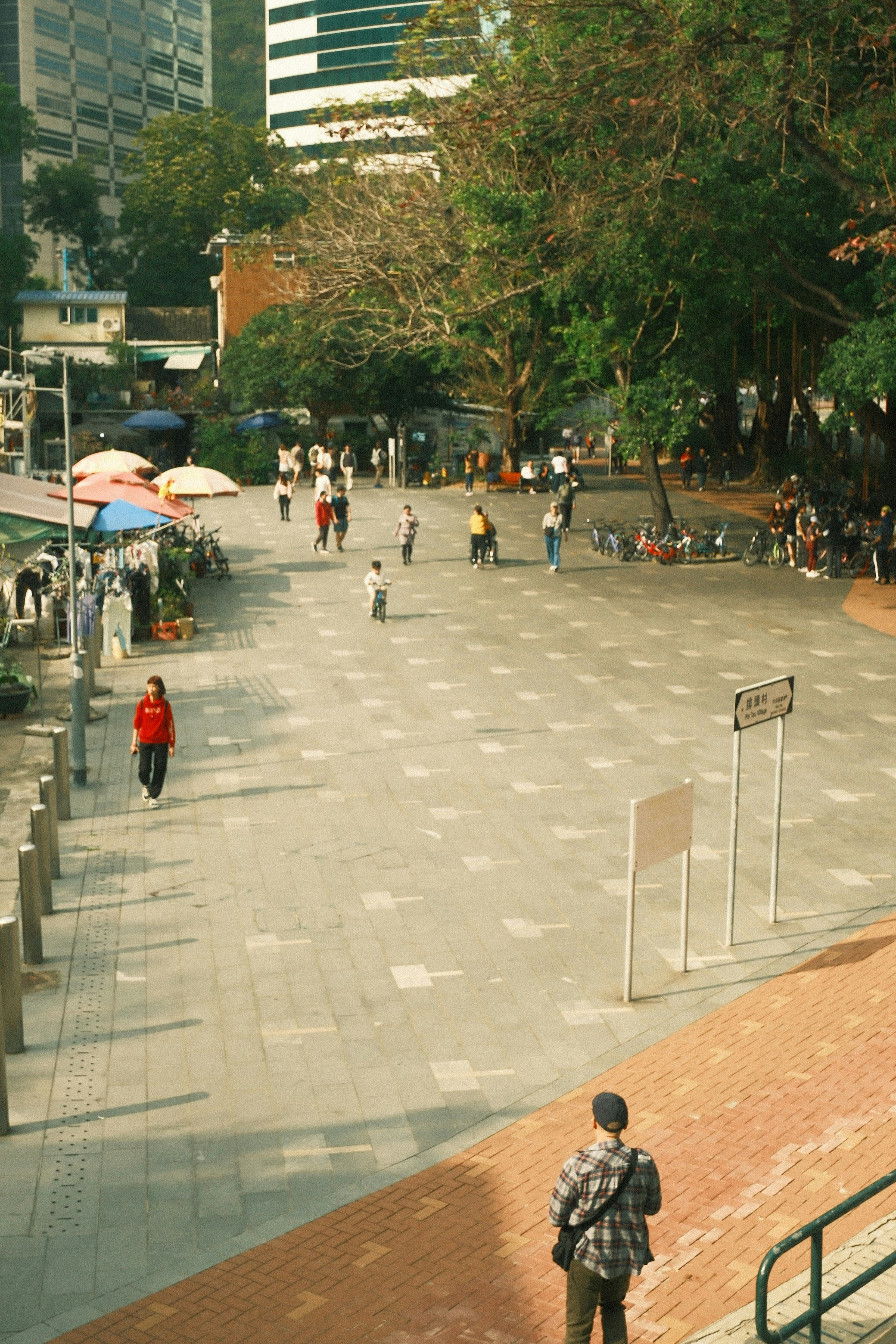 林荫步行道的城市街景