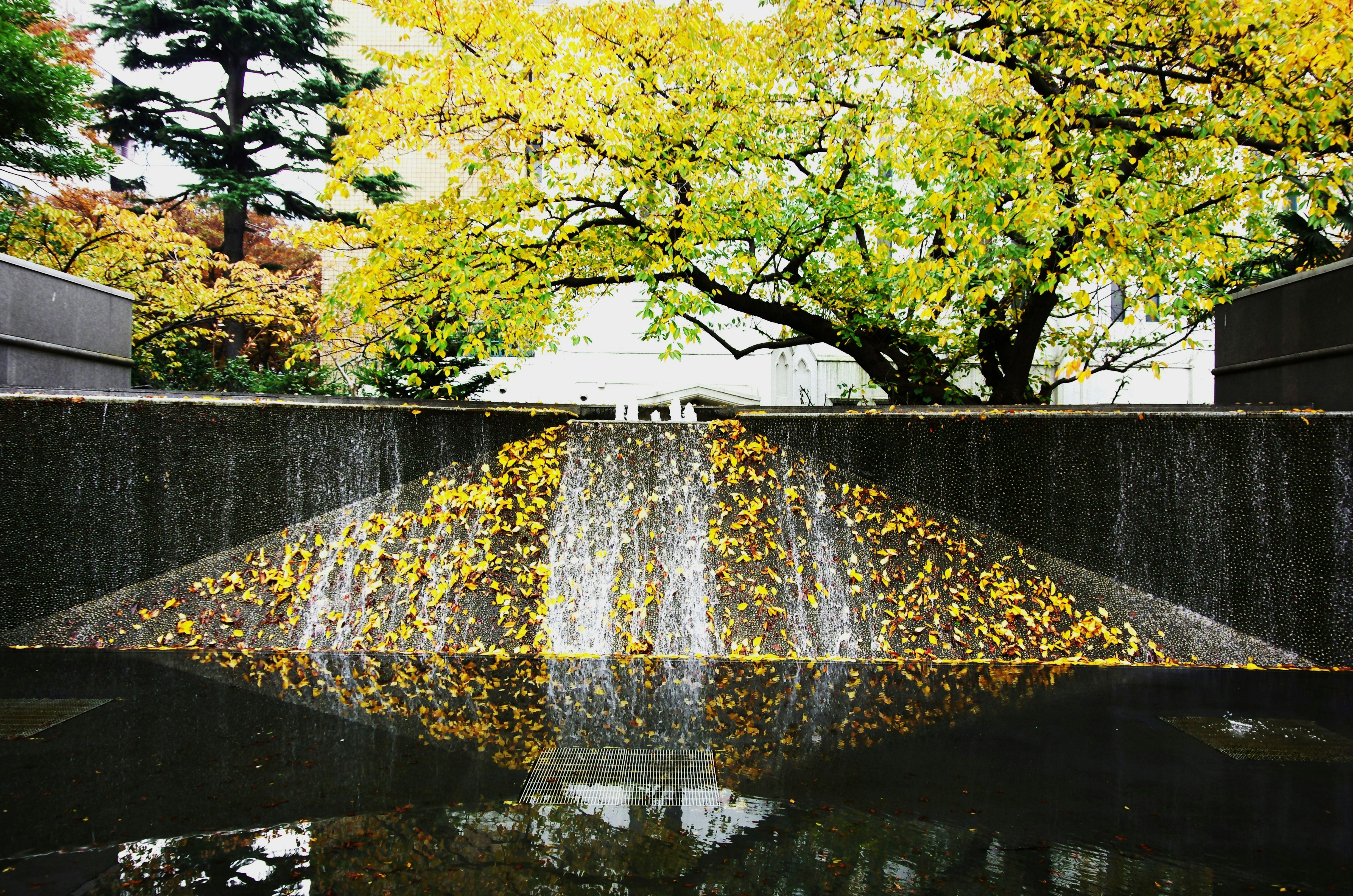eau lumineuse qui s’écoule sur un bassin en pierre avec des feuilles jaunes d’automne