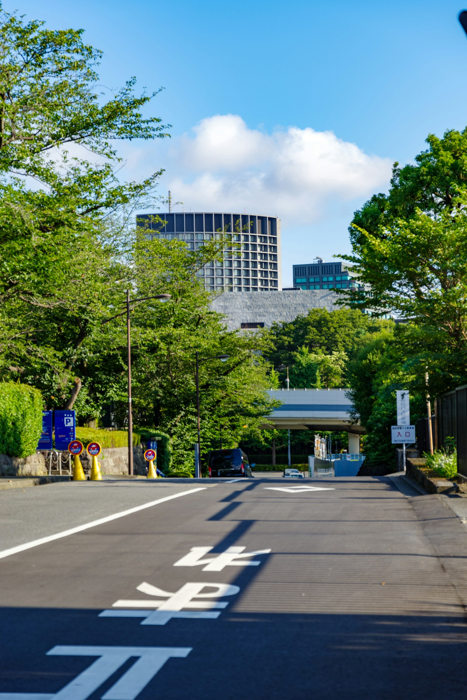 Rue urbaine entourée de verdure avec des gratte-ciels visibles