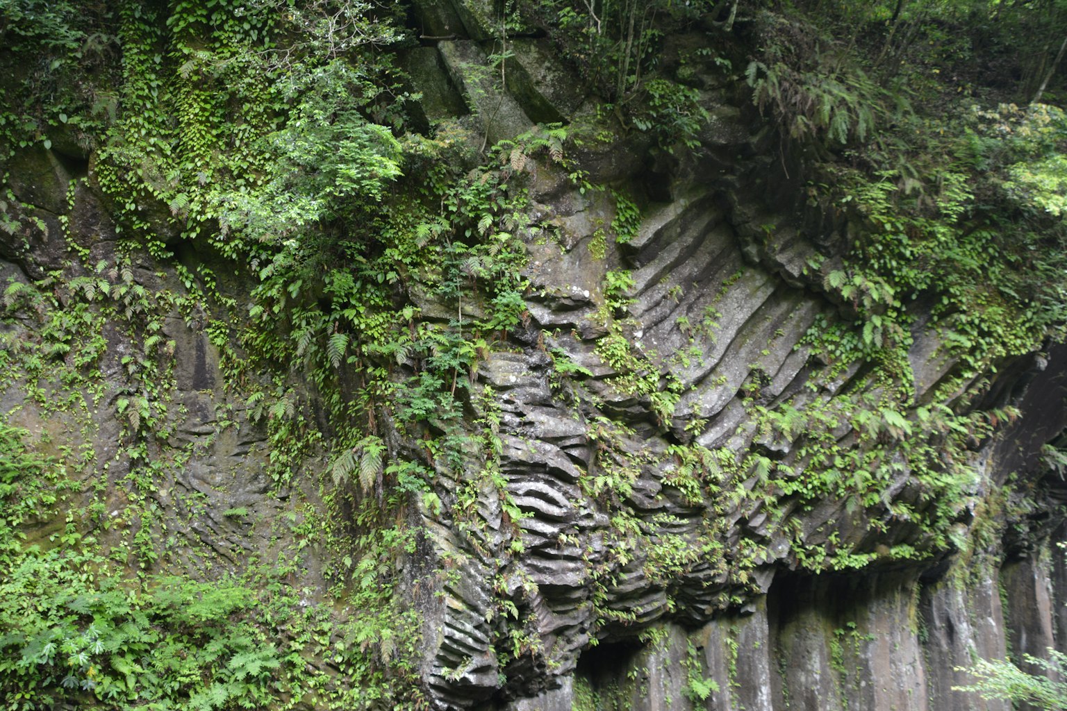 Formations rocheuses recouvertes de verdure luxuriante et de mousse