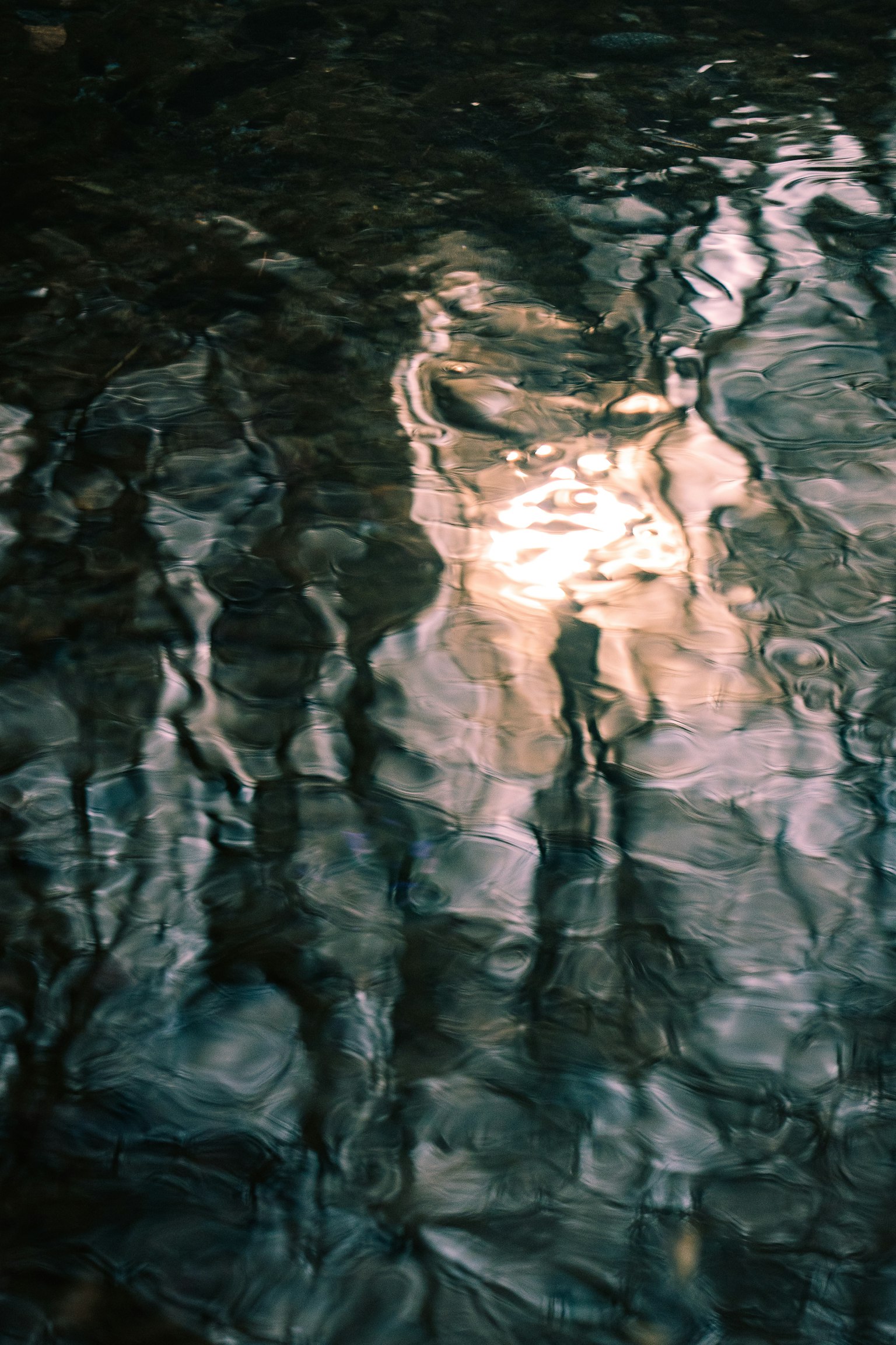 Hermosa escena de luz reflejándose en la superficie del agua con ondulaciones