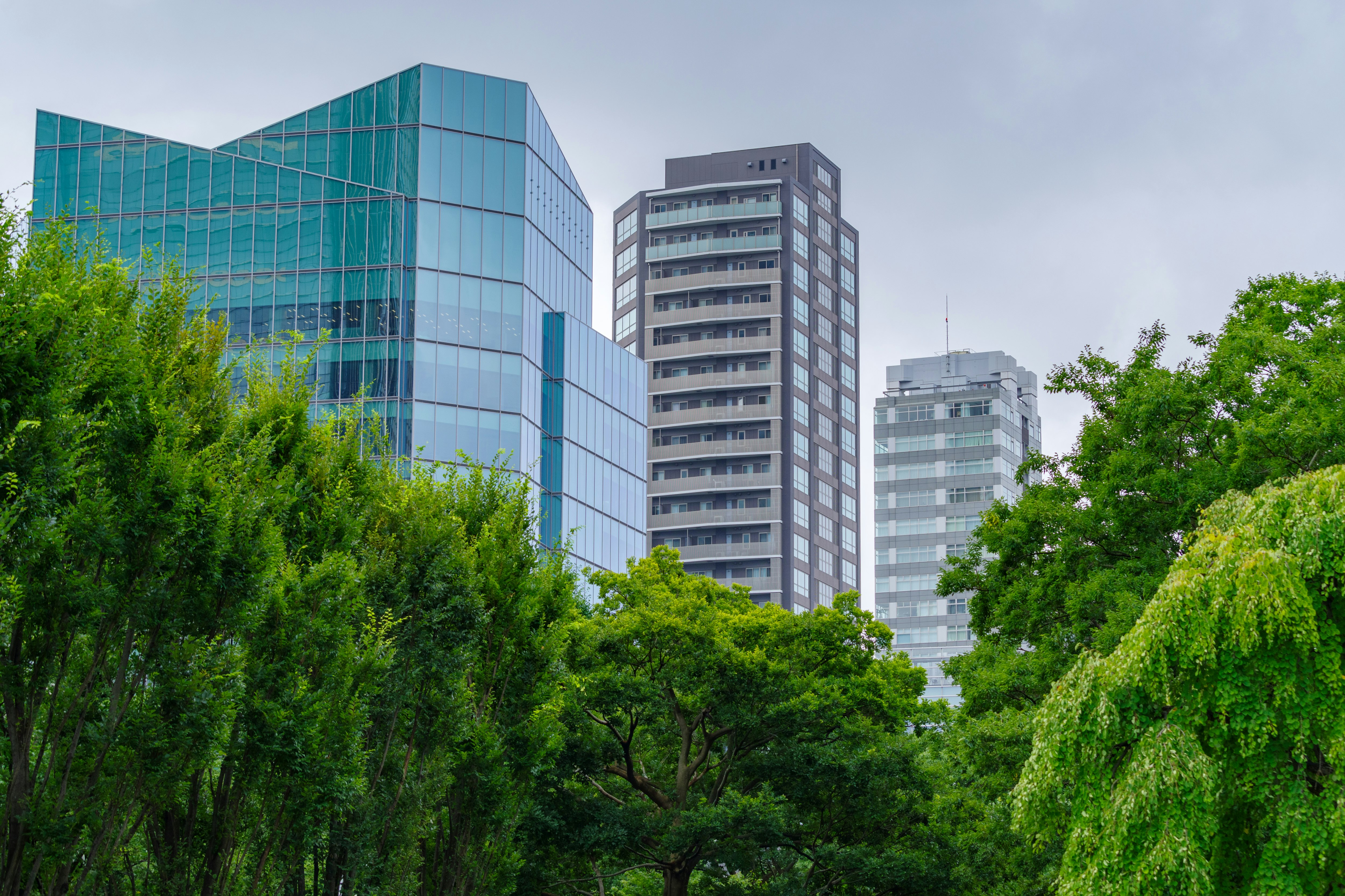 high-rise buildings in a city skyline framed by lush green trees