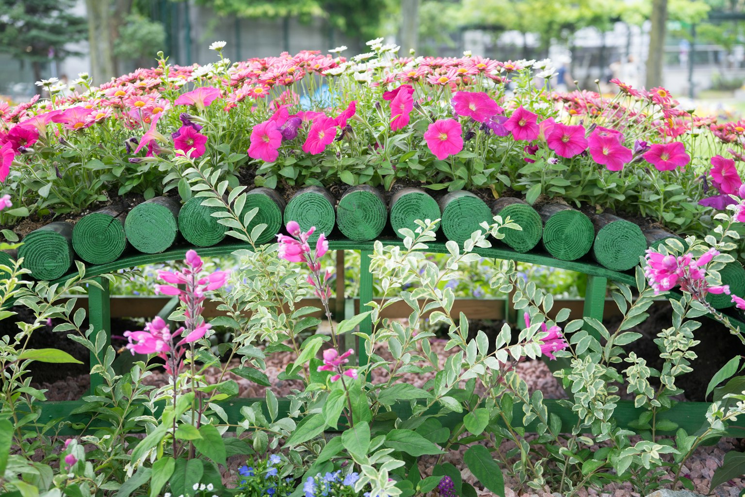 Flores coloridas dispuestas en un banco de jardín verde