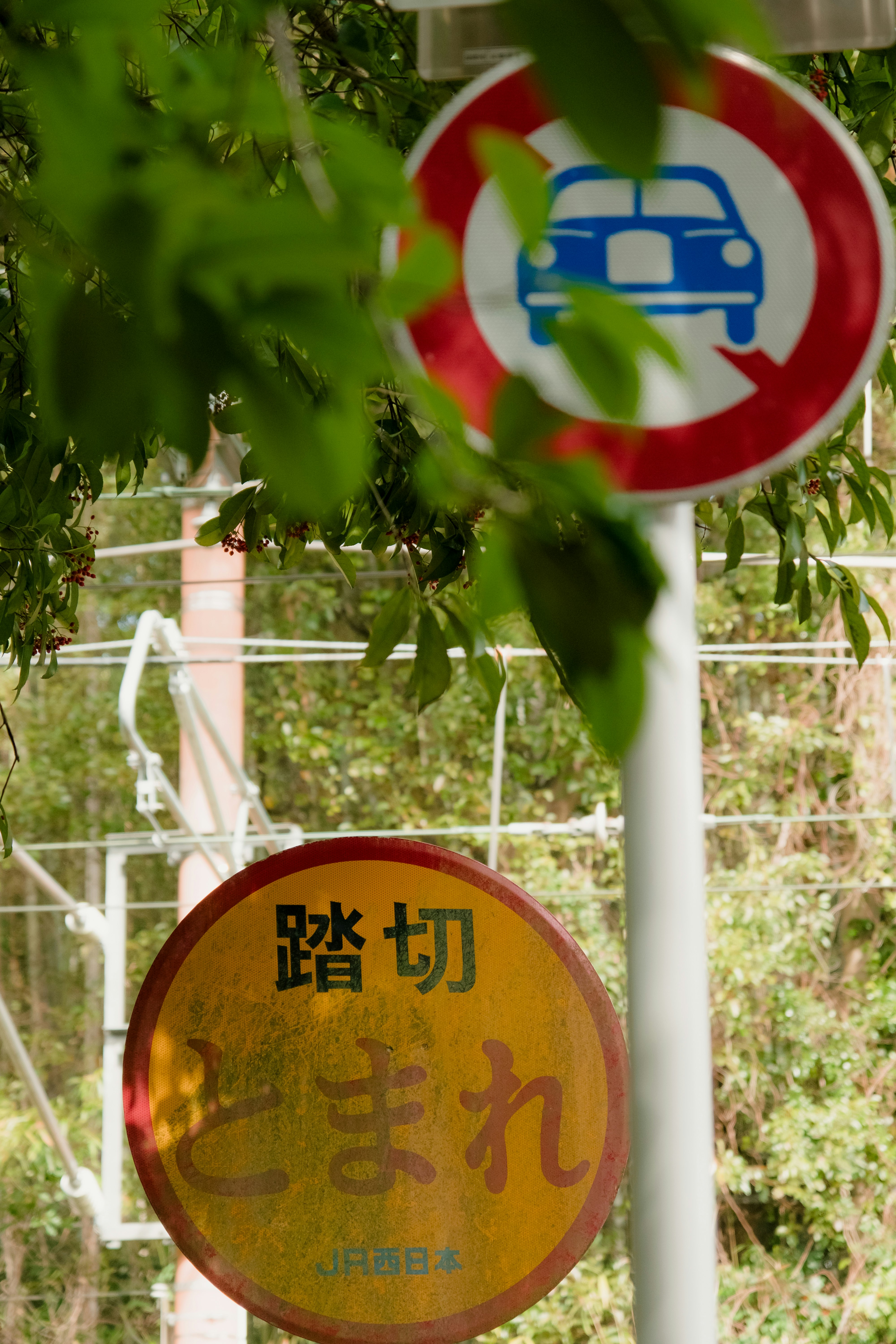 緑の葉の間にある「踏切」標識と遮断機