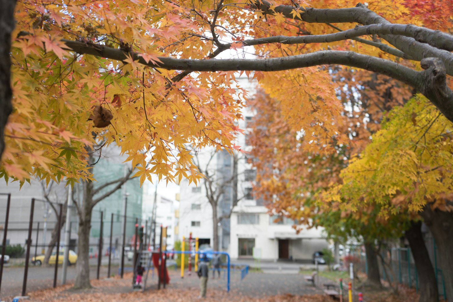 Vista panoramica di un parco con bellissimi colori autunnali bambini che giocano sullo sfondo