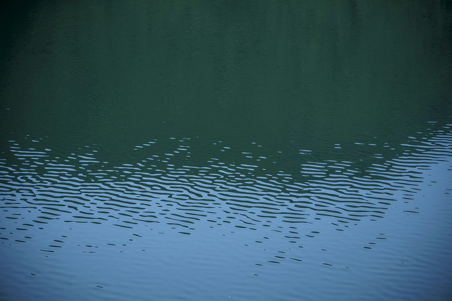 Superficie d'acqua calma che riflette ombre verdi e increspature