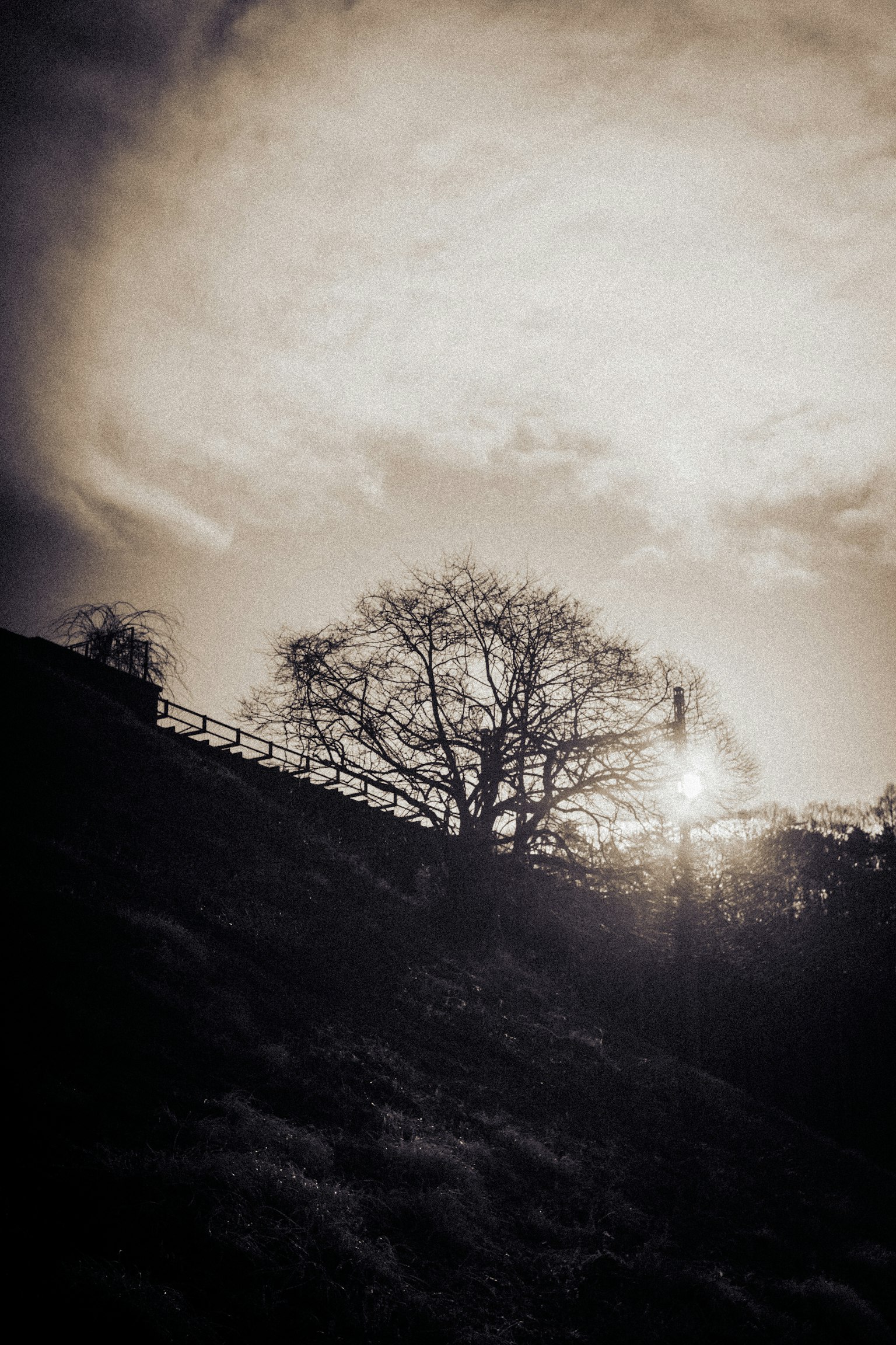 Silhouette eines Baumes gegen einen Sonnenuntergang mit Wolken