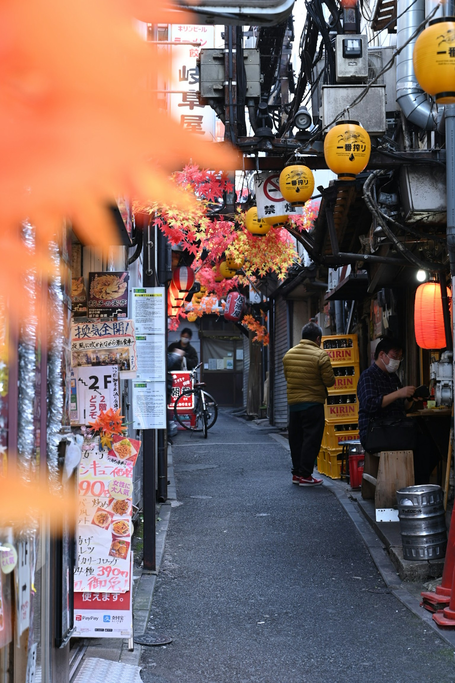 Narrow alley adorned with lanterns and colorful flowers