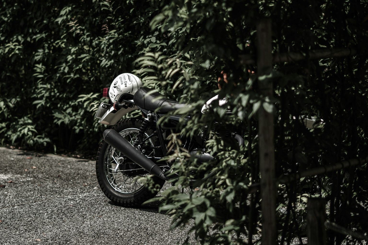 A motorcycle partially hidden among lush greenery