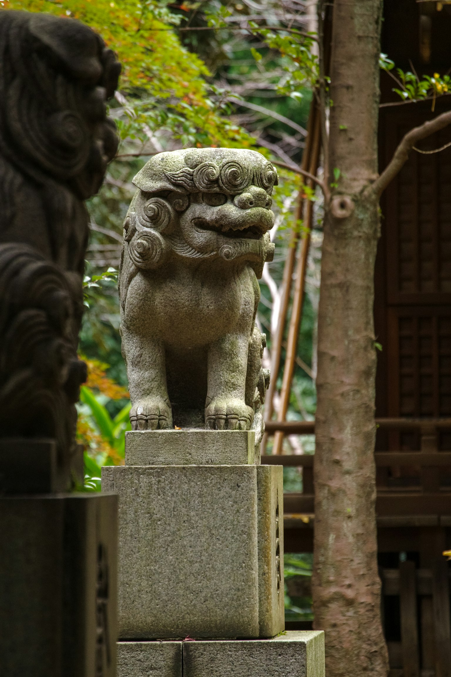 Stone guardian lion statue surrounded by greenery in a garden