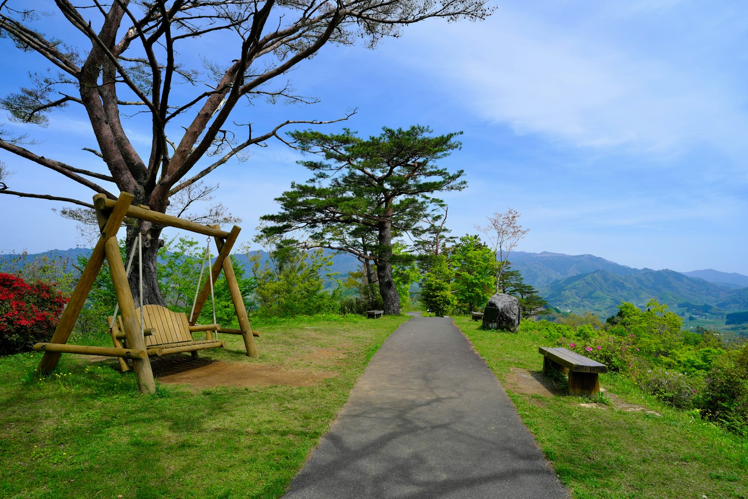 Vue pittoresque avec un chemin et une balançoire entourée de verdure