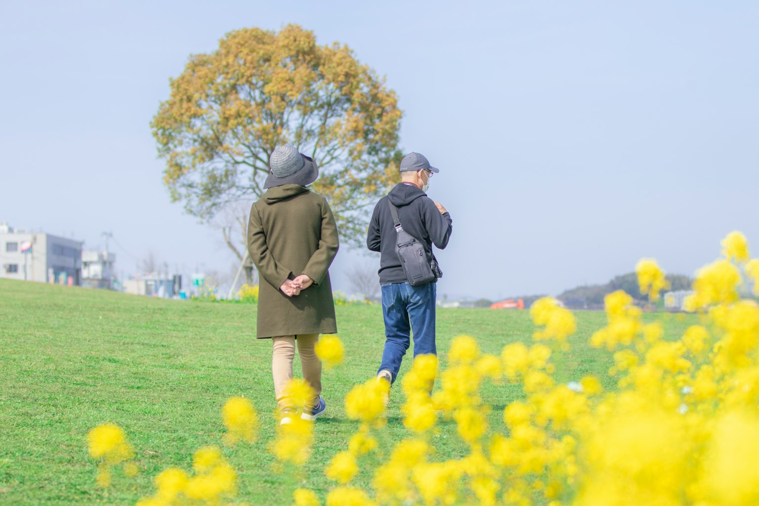 Dos personas de pie frente a un campo de flores