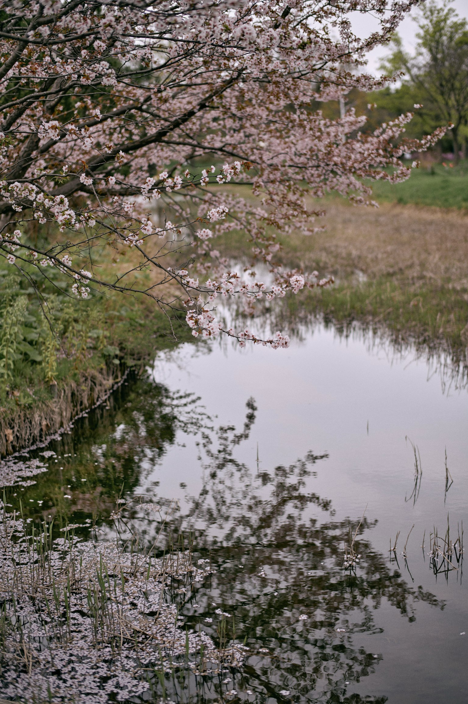 photo-6V6dLZHgZYN2PksKqXiI-image