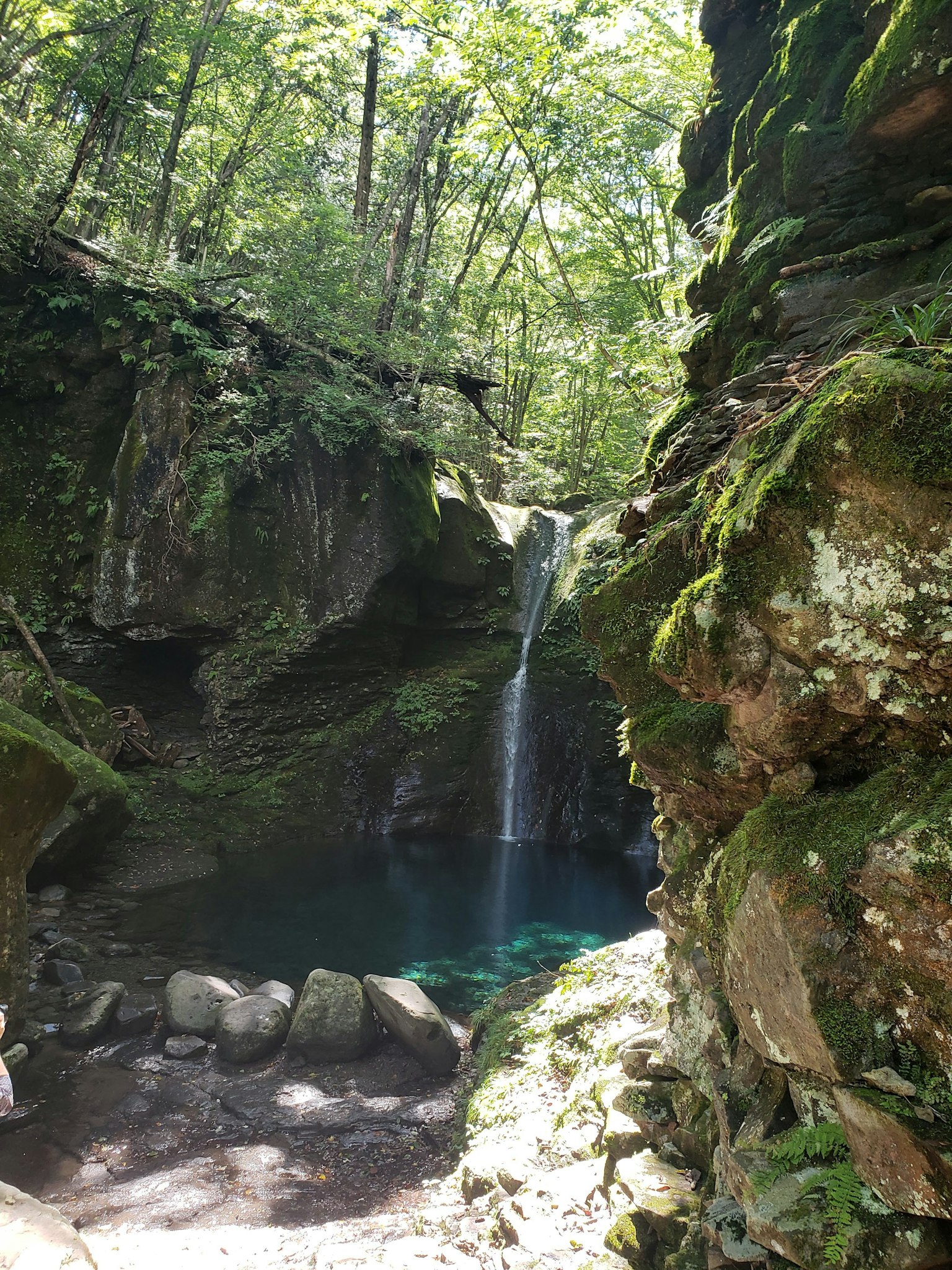 Scène naturelle avec une cascade et un bassin bleu entouré de verdure