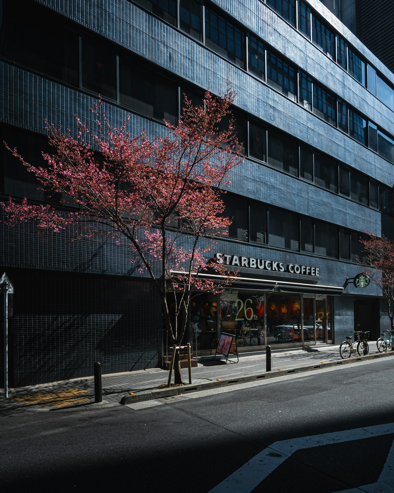 Exterior de Starbucks con cerezos en flor y arquitectura moderna