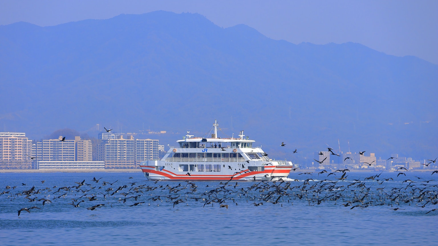 Weißer Fähre überquert das blaue Meer mit Vogelschwärmen