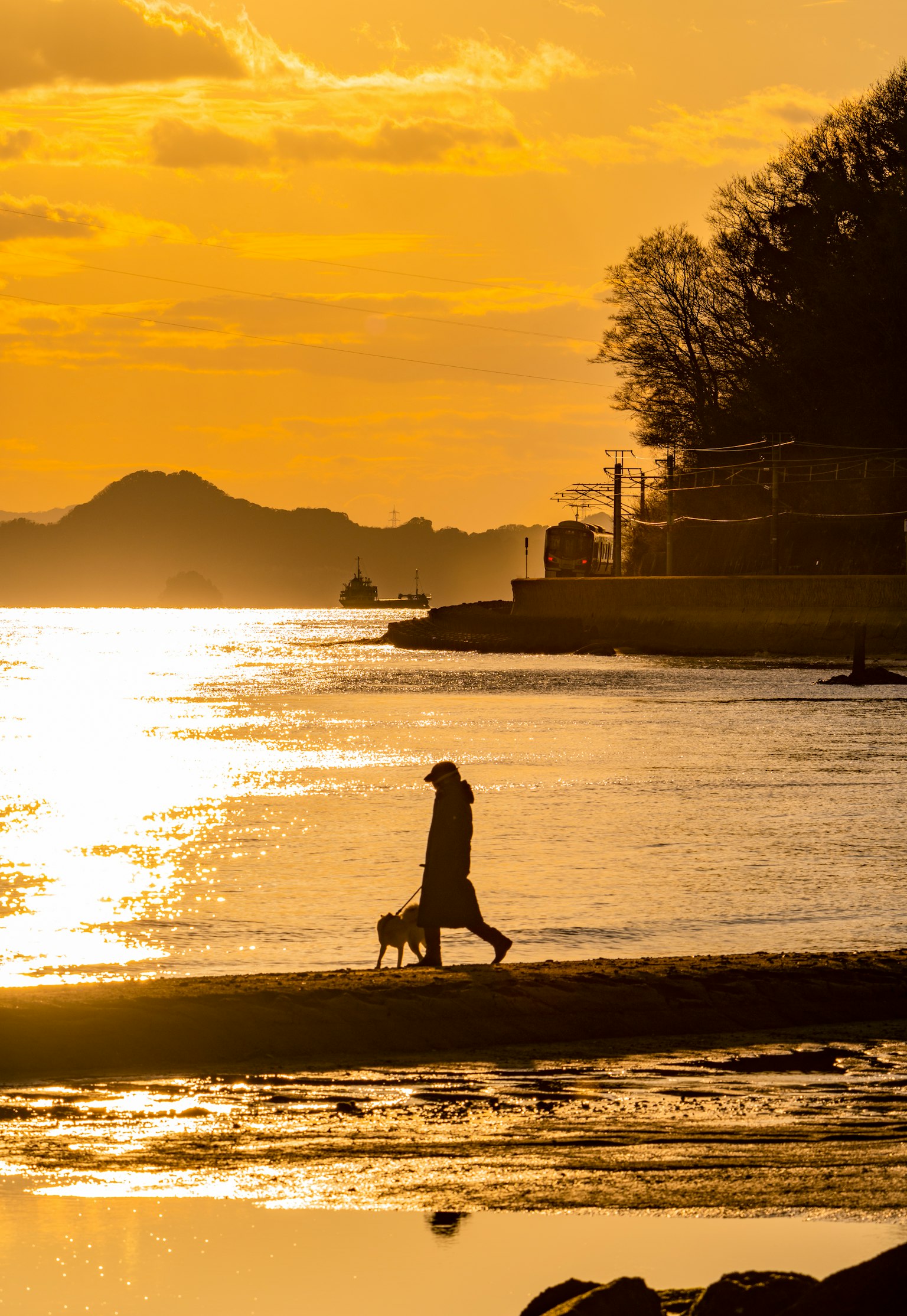 A person walking a dog against a sunset backdrop