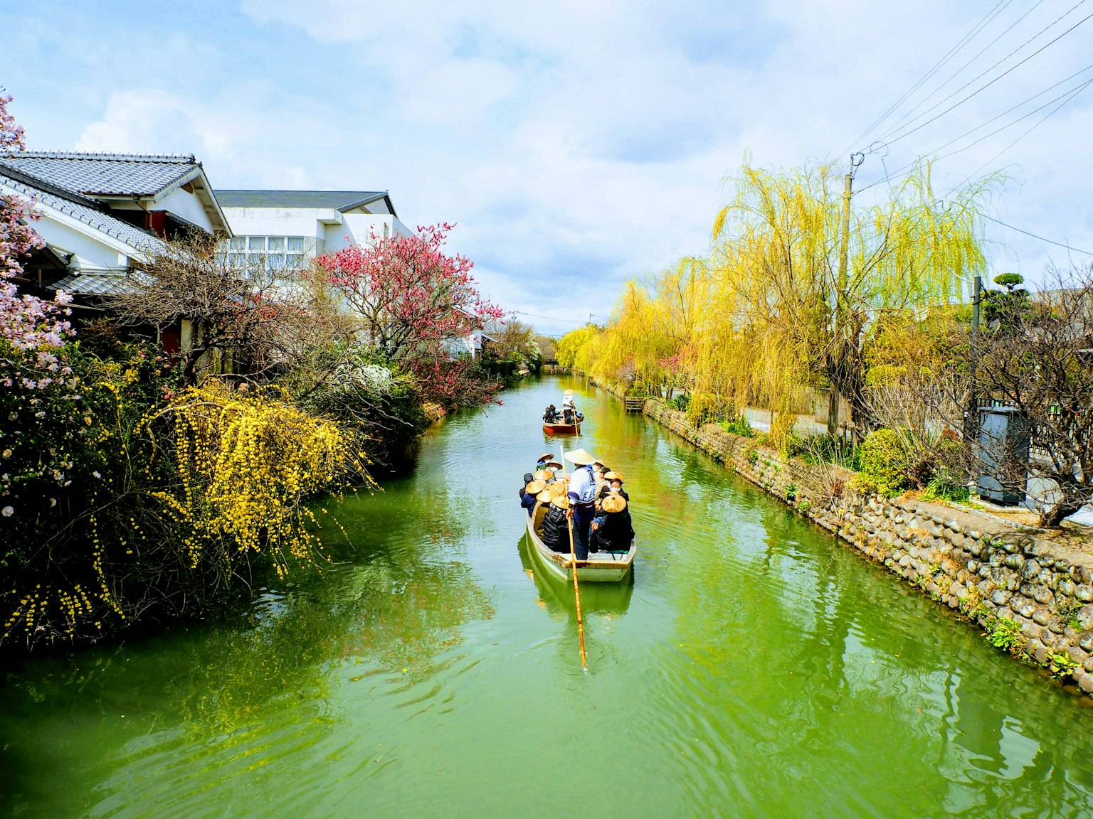 Escena hermosa con un bote en un canal verde rodeado de cerezos y sauces