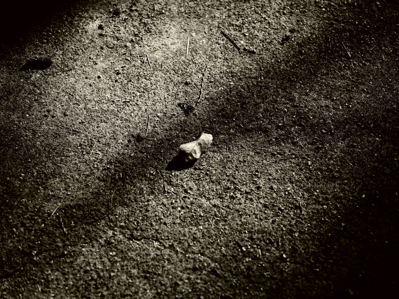 photo-6XE40SMIYmZsAuyi3CiL-image
