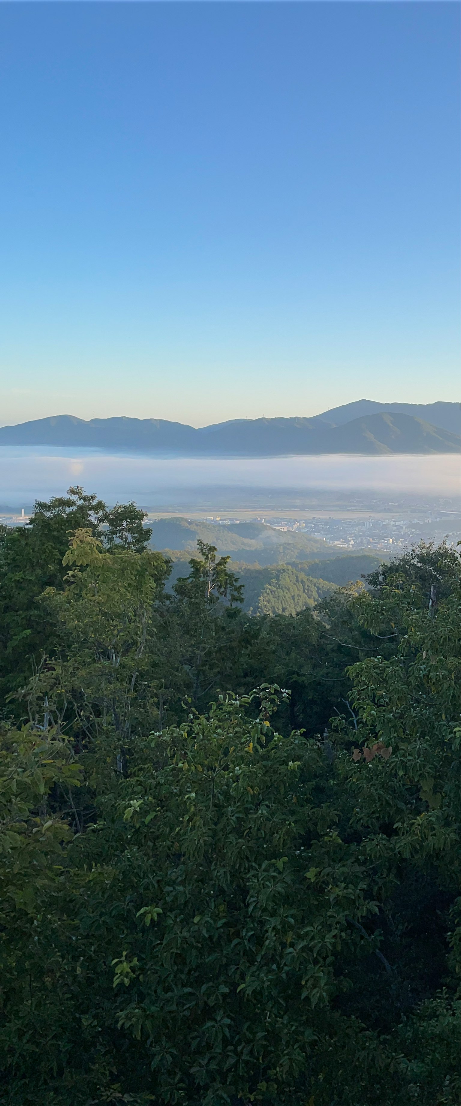 蓝天背景下雾气弥漫的山谷风景