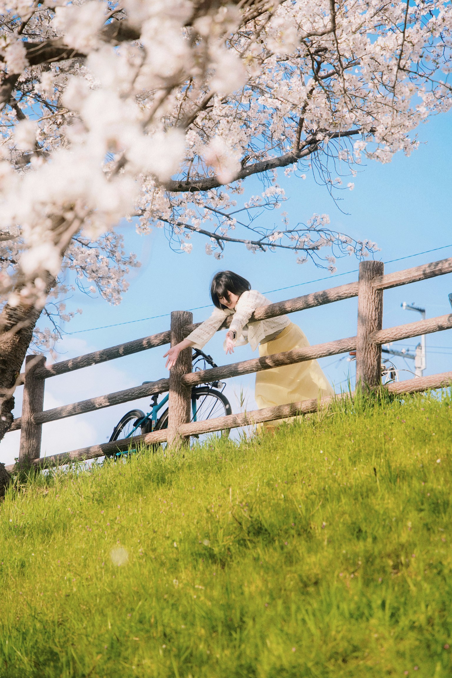 photo-6YUkp2jJcXWQZEBFXss1-image