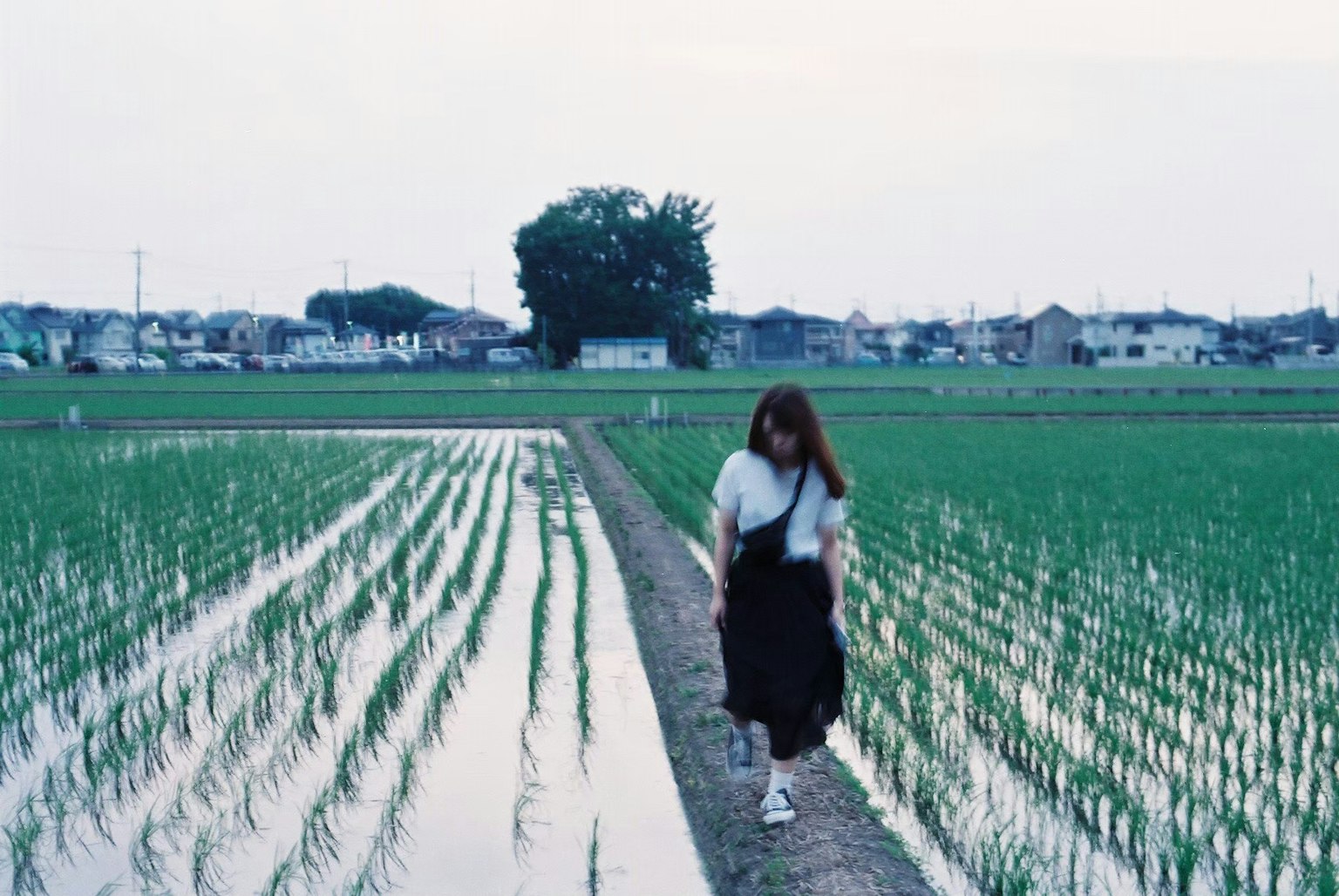 Femme marchant dans un champ de riz sous un ciel bleu