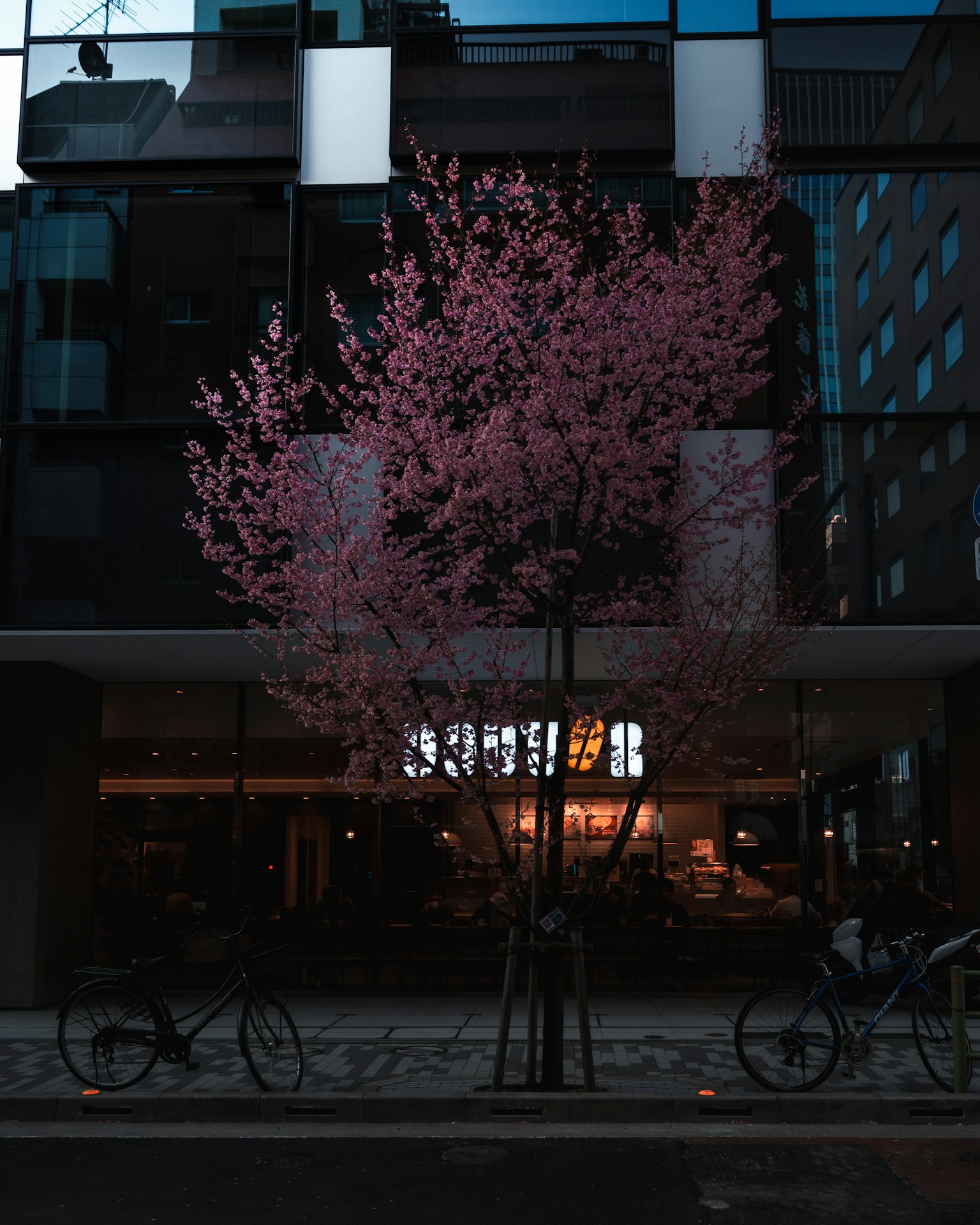Arbre de cerisier en fleurs devant un bâtiment moderne la nuit