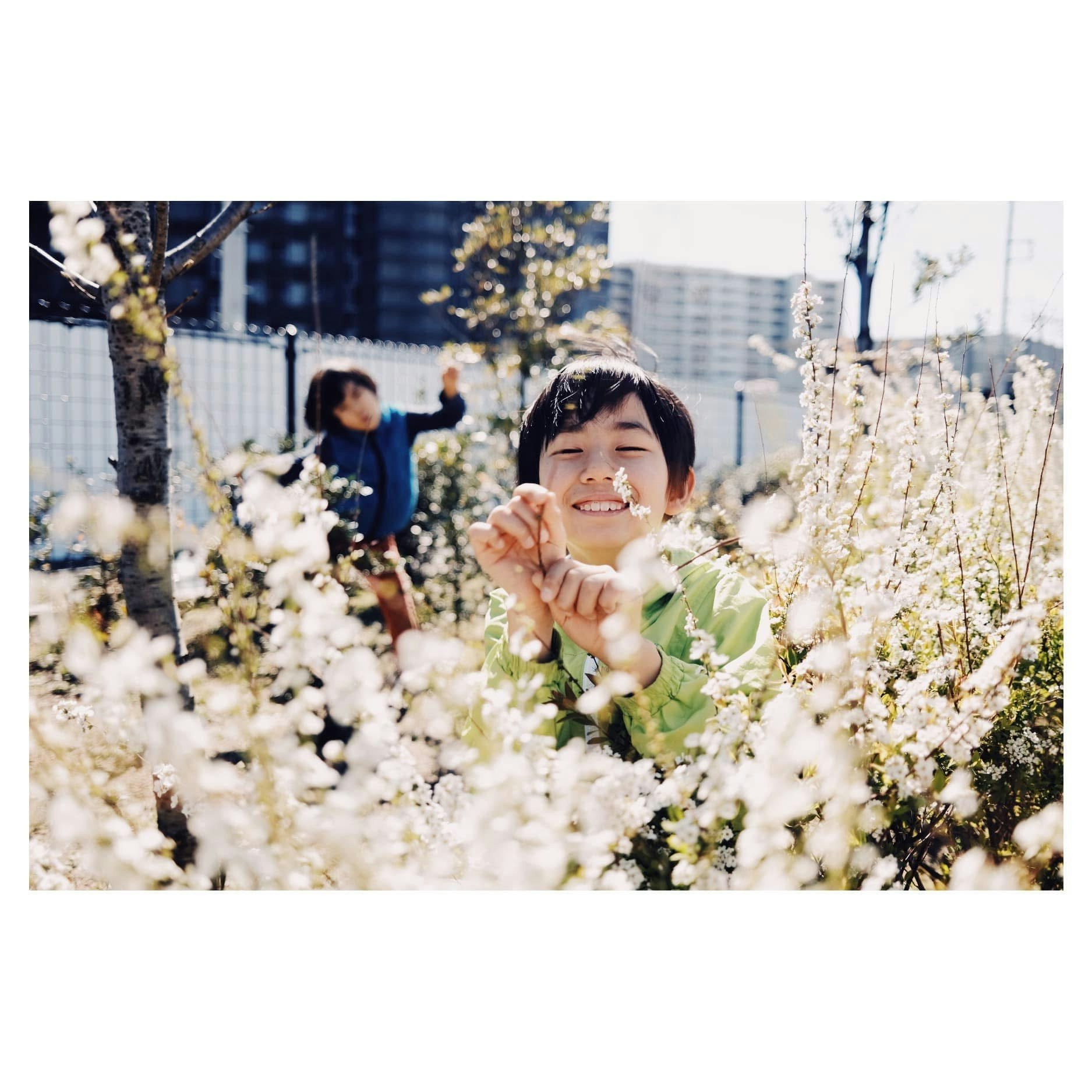 春の花の中で笑顔の子どもが手を伸ばす