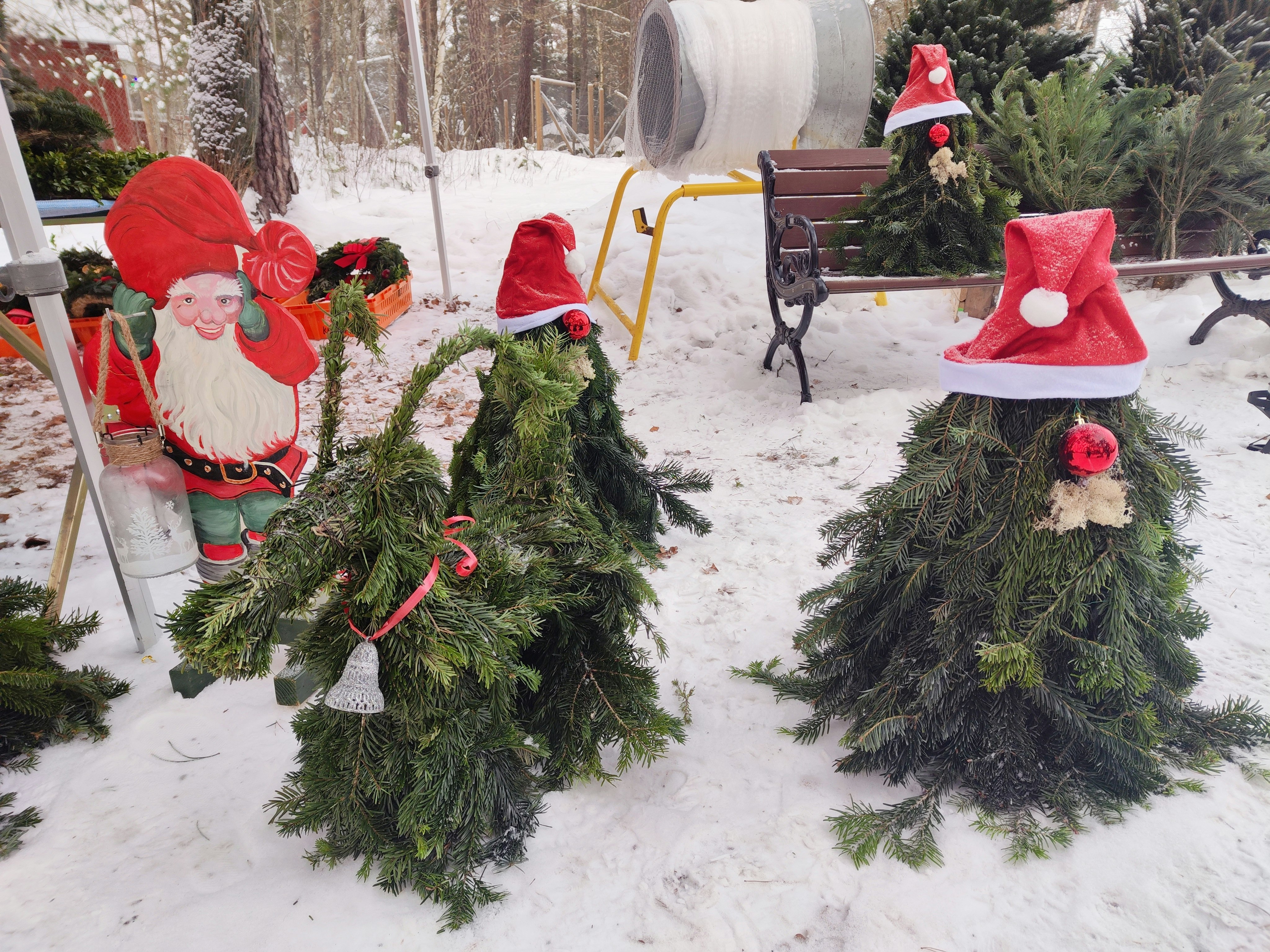 Weihnachtsdekorationen und Tannenbäume im verschneiten Garten