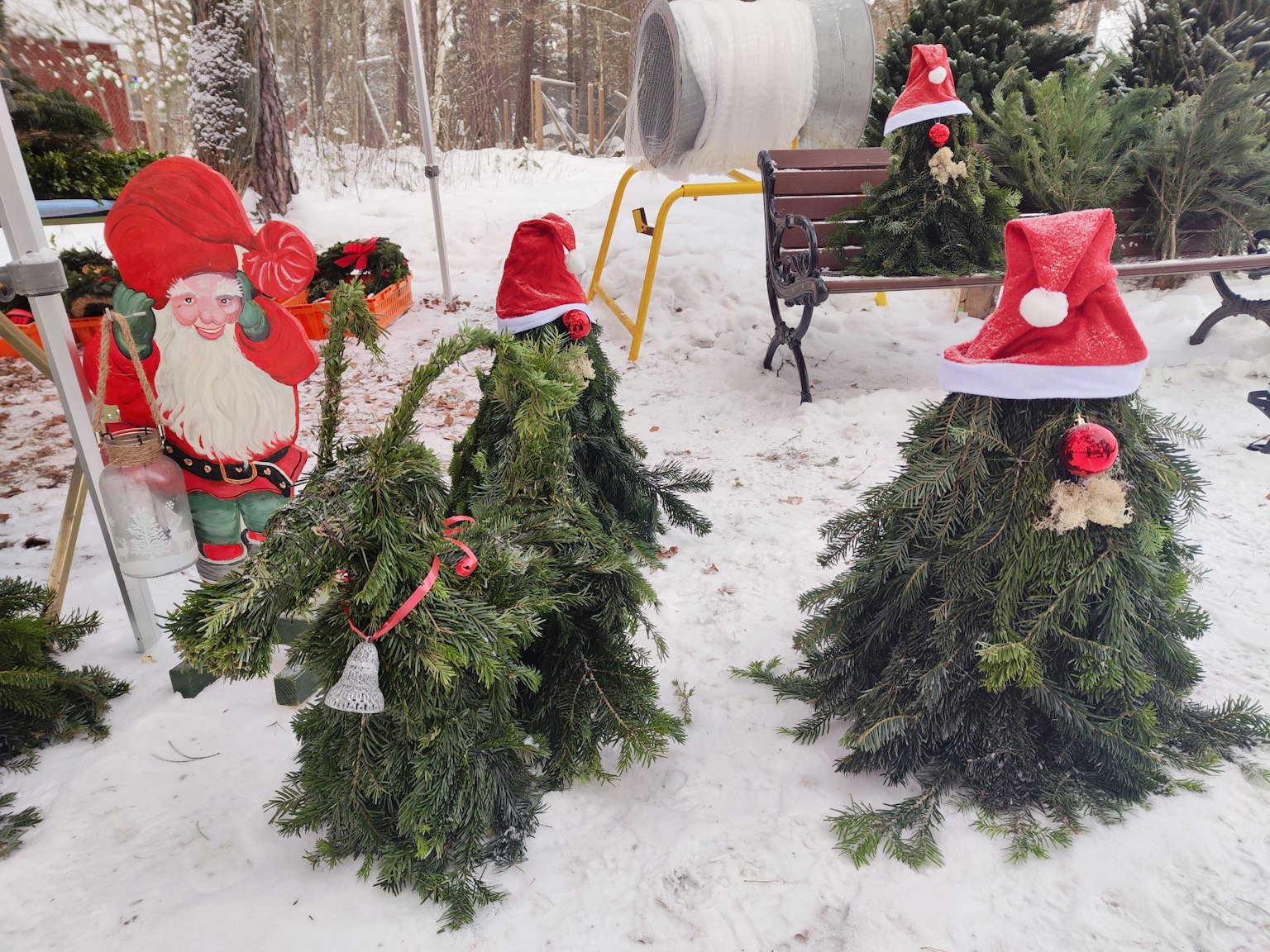 Christmas tree decorations wearing Santa hats in the snow