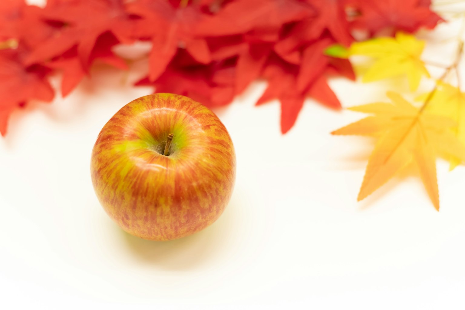 Pomme fraîche posée sur des feuilles d'automne rouges et jaunes vives