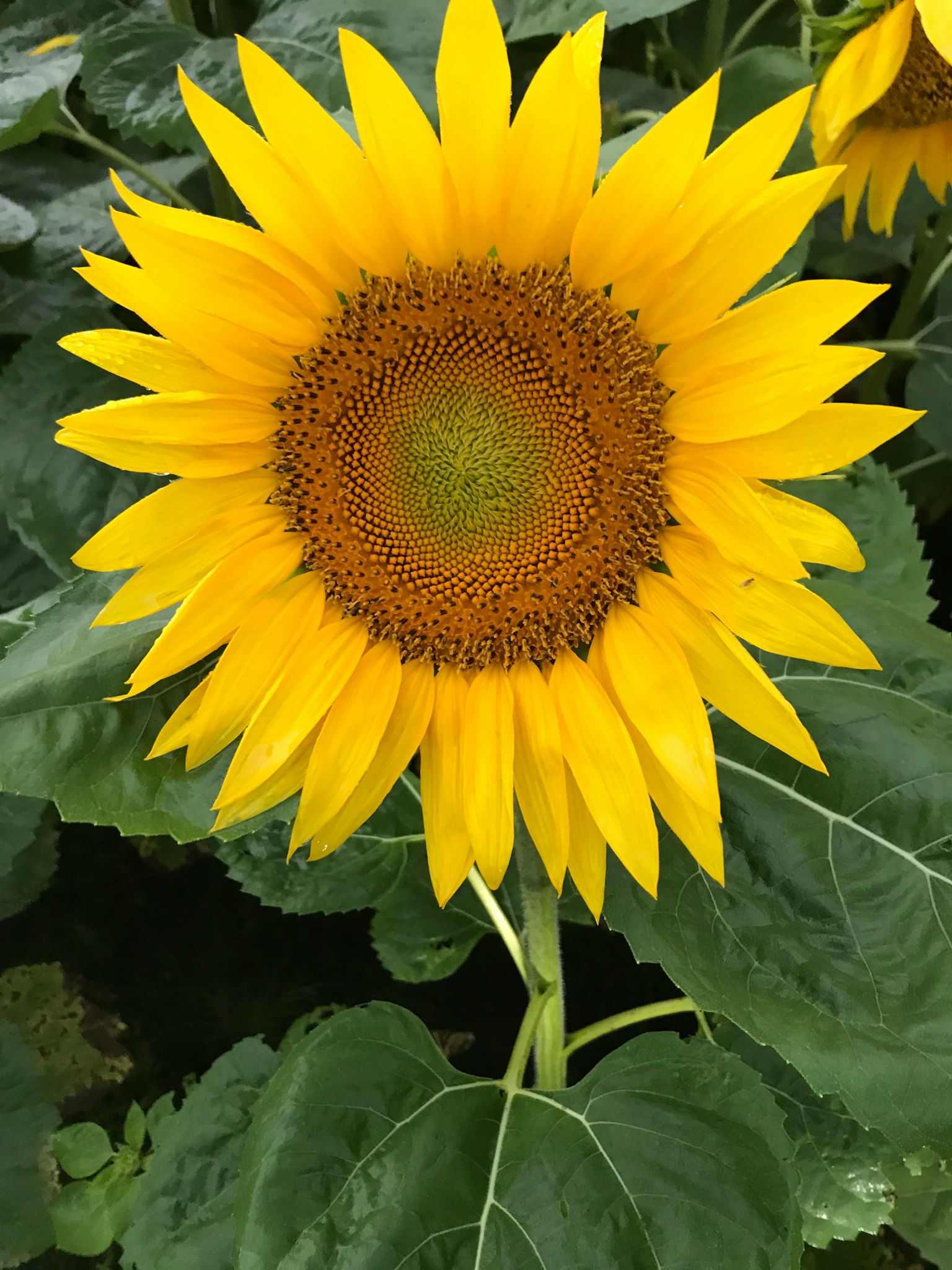 photo-6agDapQ7YhcE5oSxvWpb-image