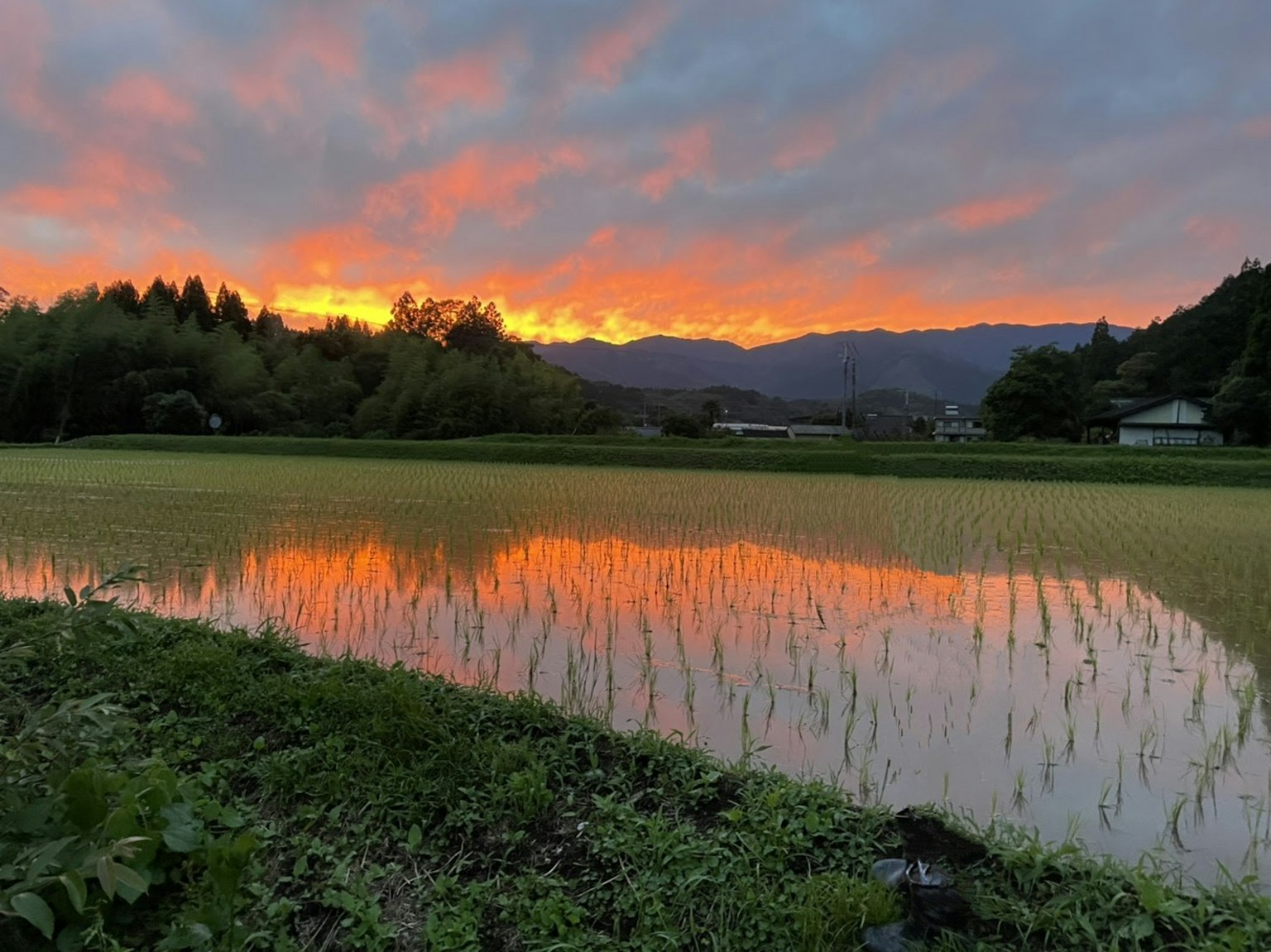 Senja yang memantulkan di sawah dan pegunungan
